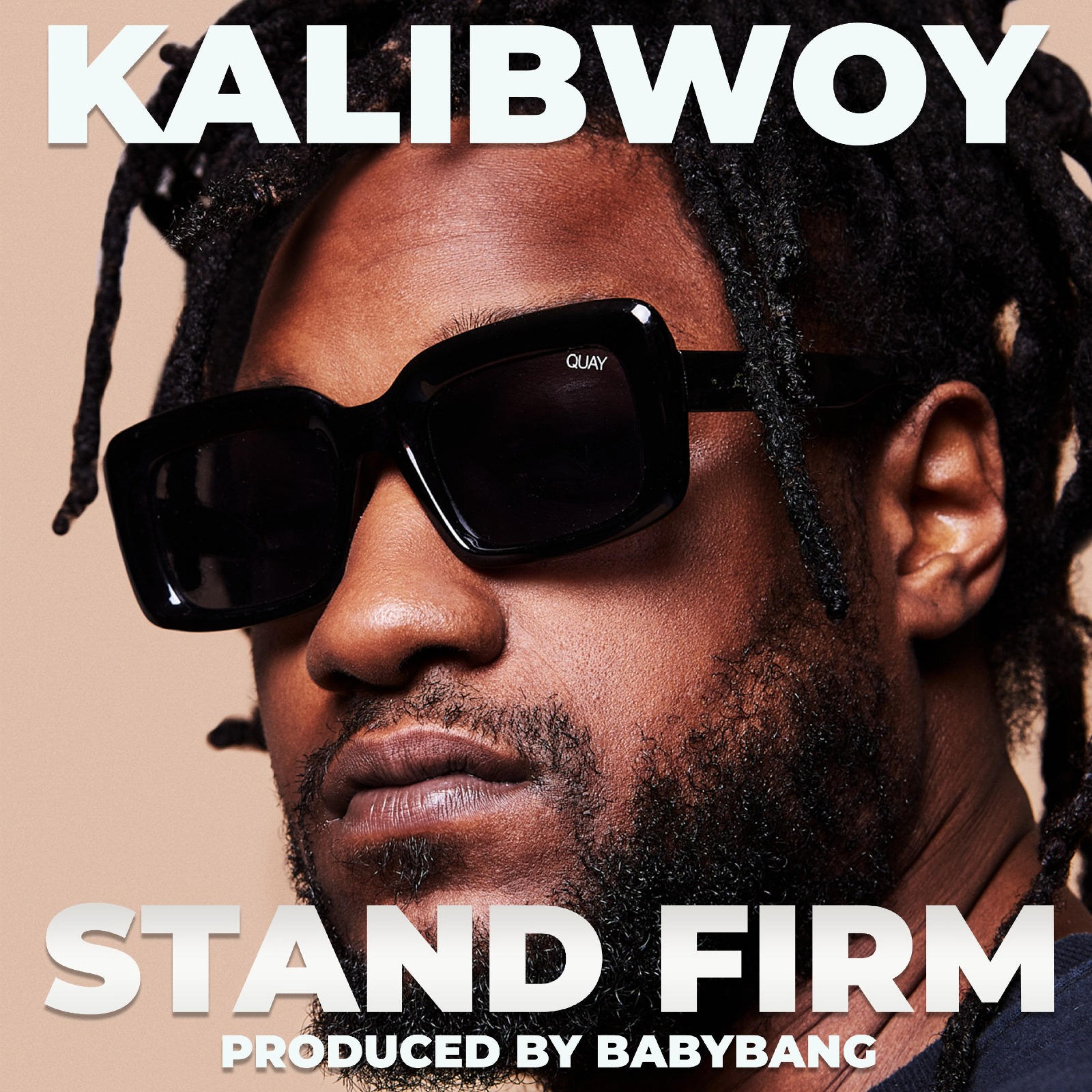 Релиз Stand Firm
