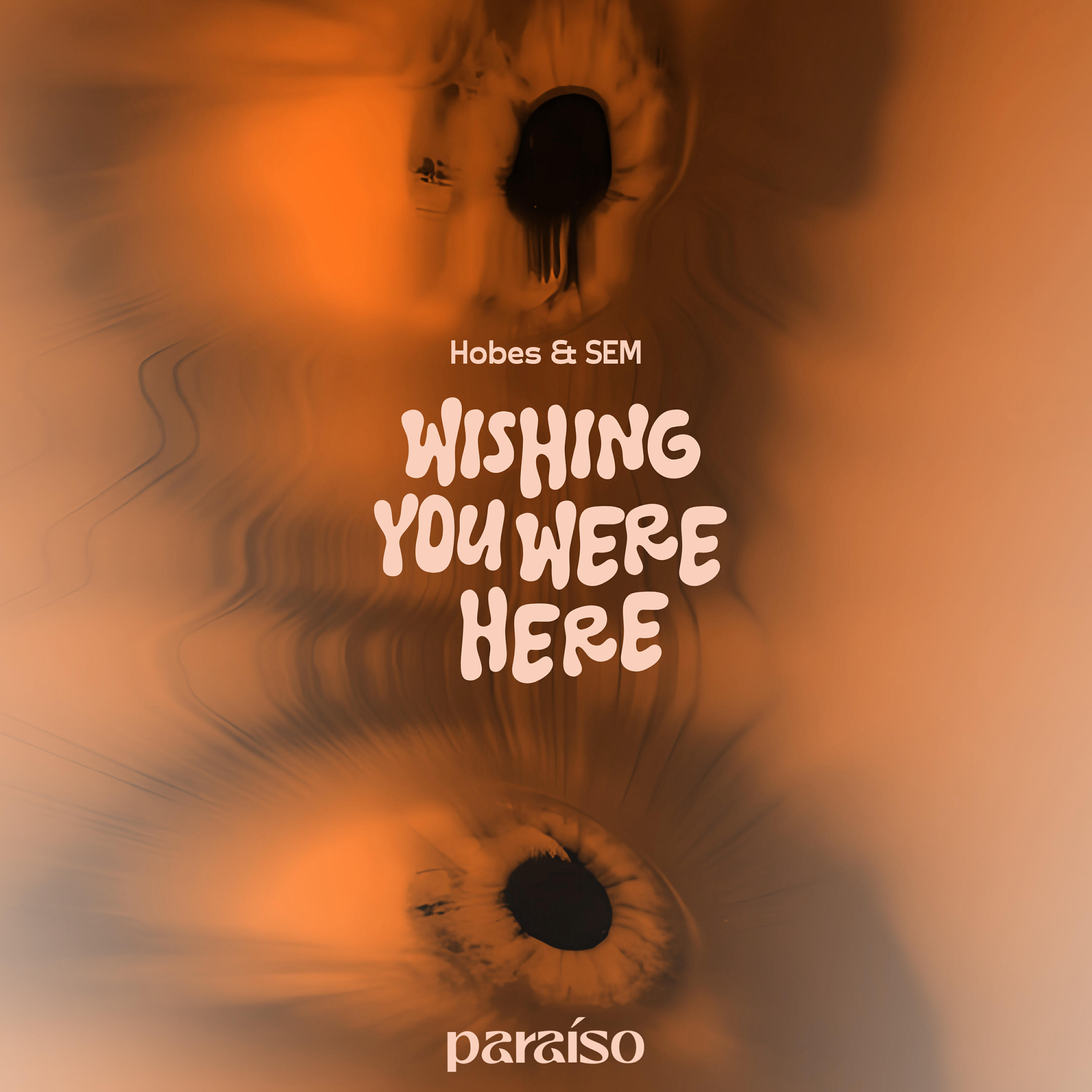 Релиз Wishing You Were Here