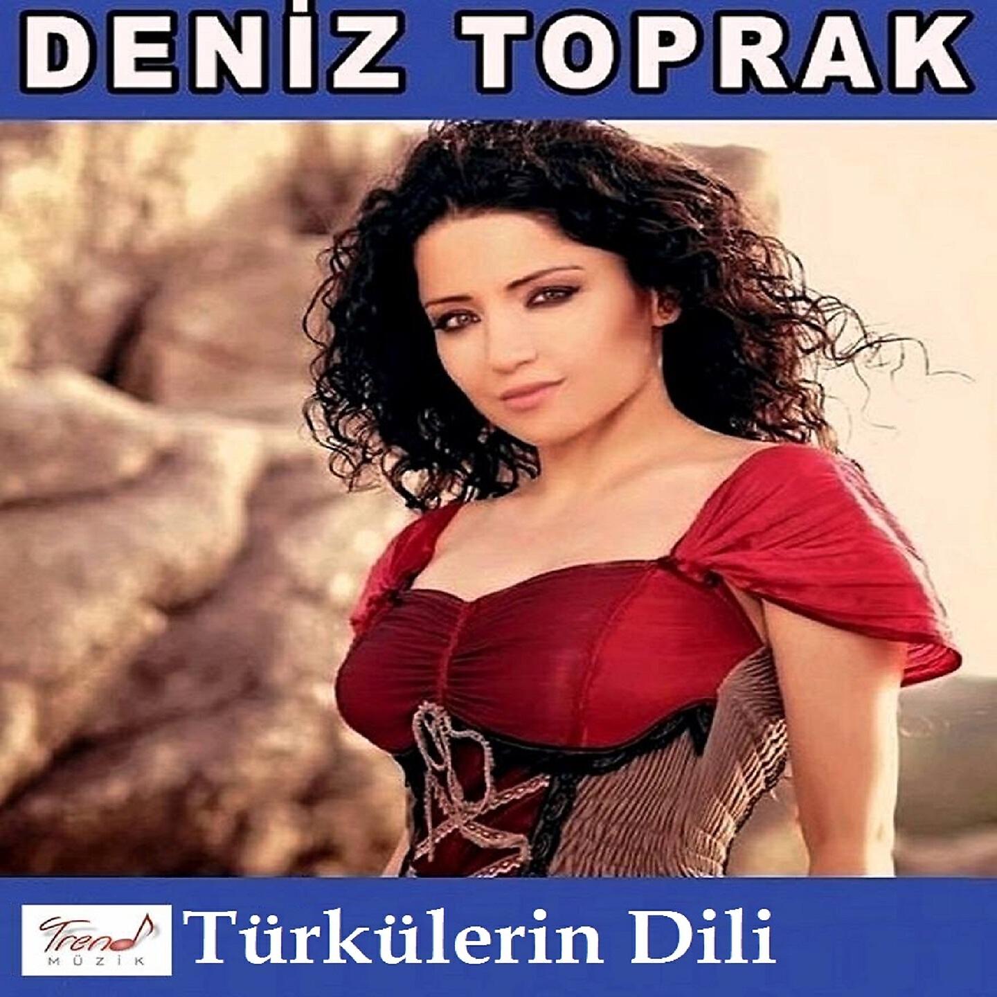 Релиз Türkülerin Dili