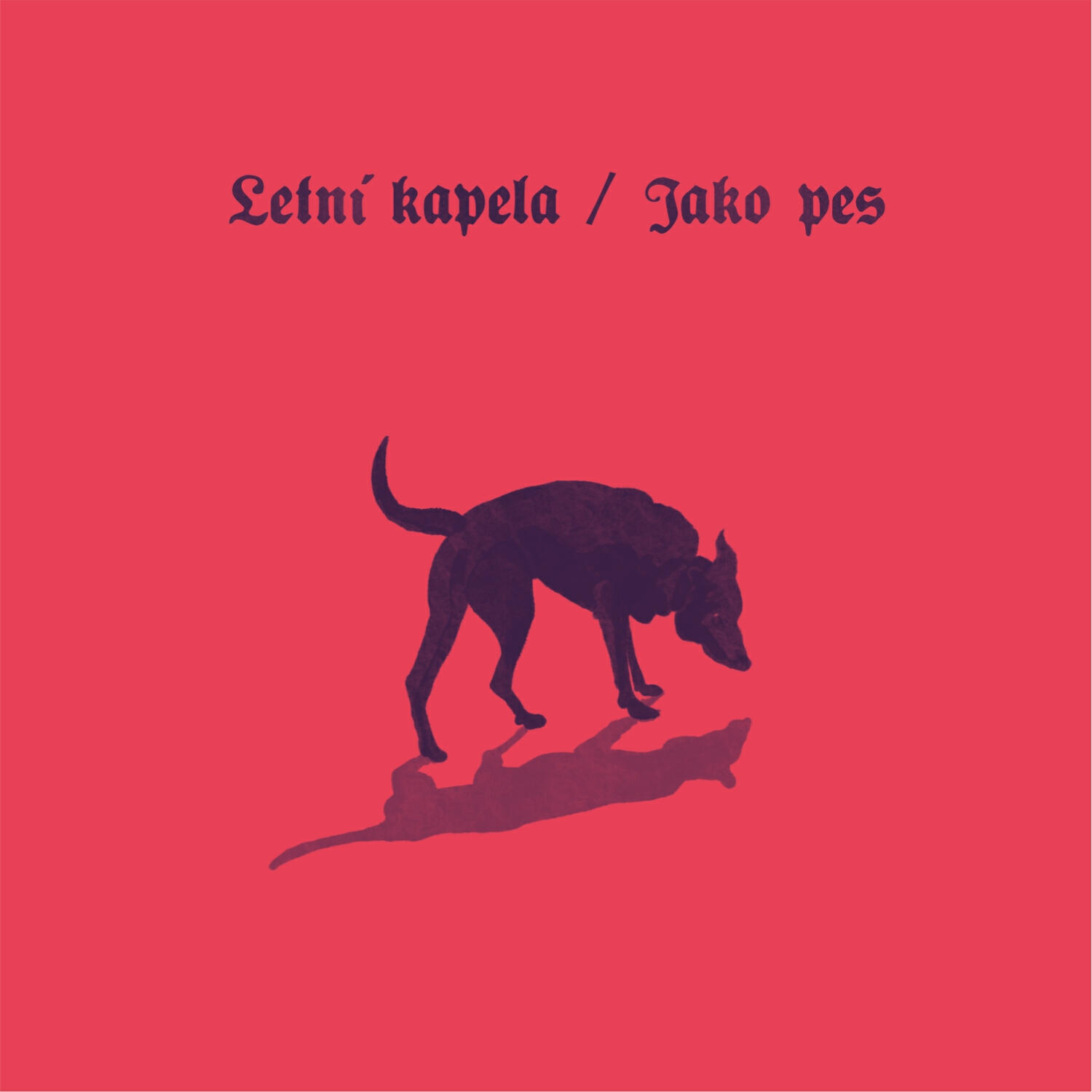 Letní kapela