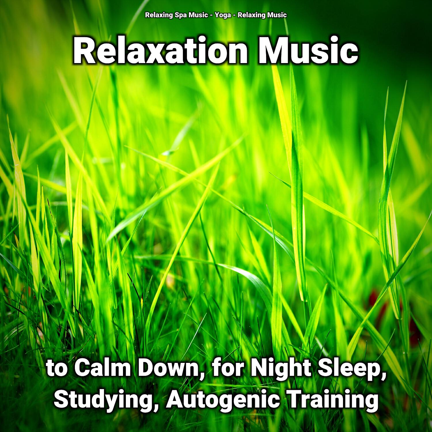 Релиз Relaxation Music to Calm Down, for Night Sleep, Studying, Autogenic Training