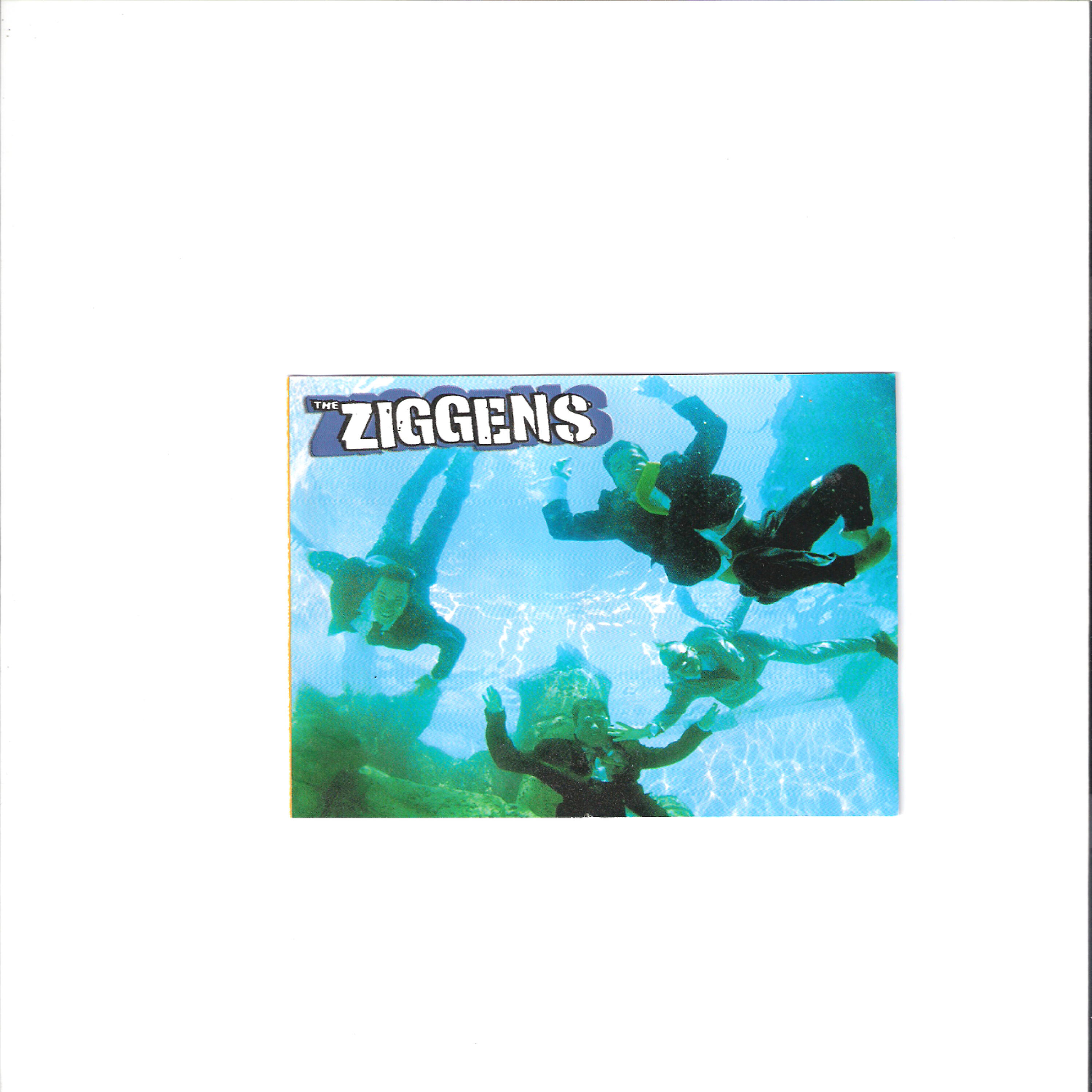 Релиз The Ziggens