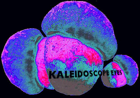 Kaleidoscope Eyes