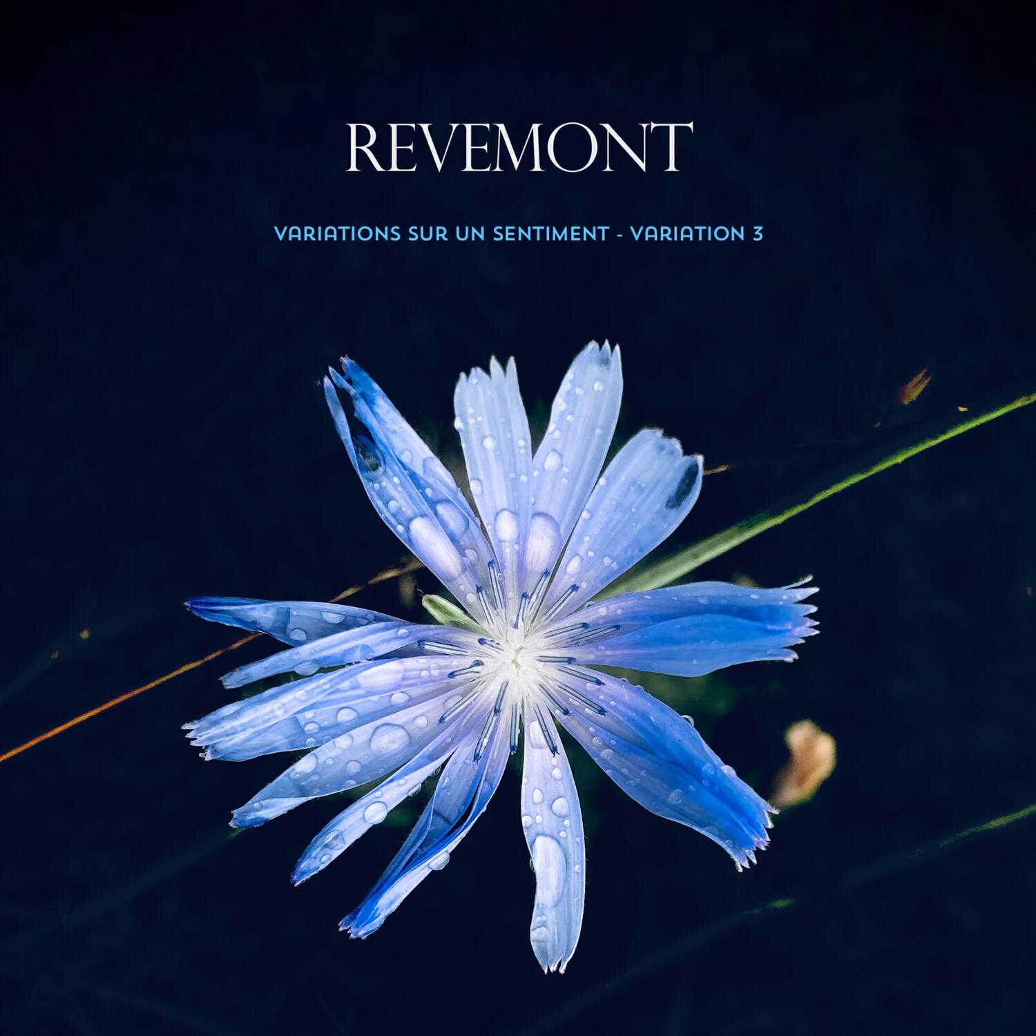 Релиз Variations sur un sentiment - Variation 3