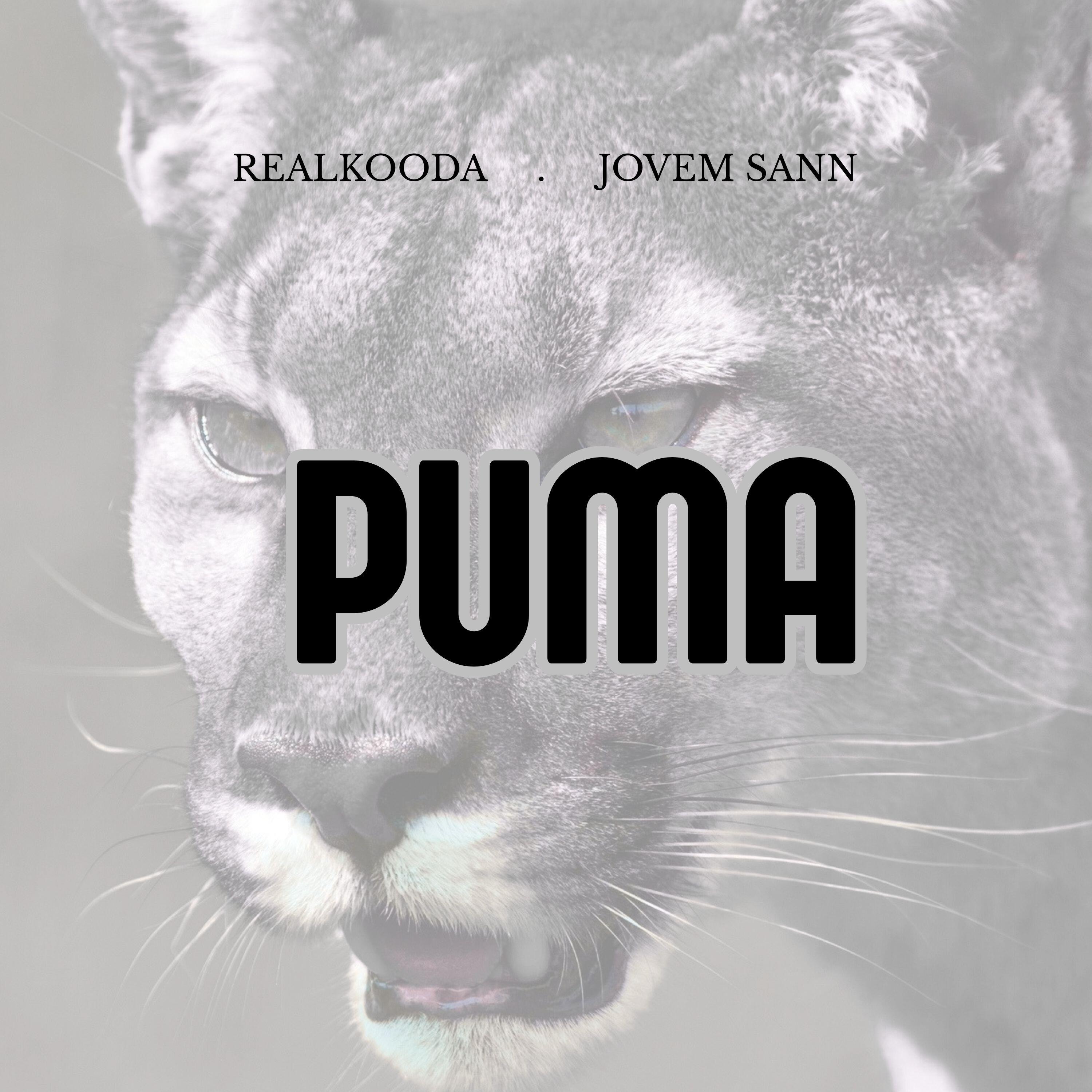 Релиз Puma
