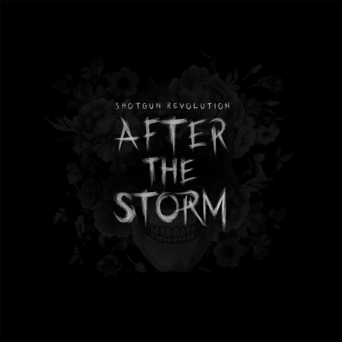 Релиз After the Storm