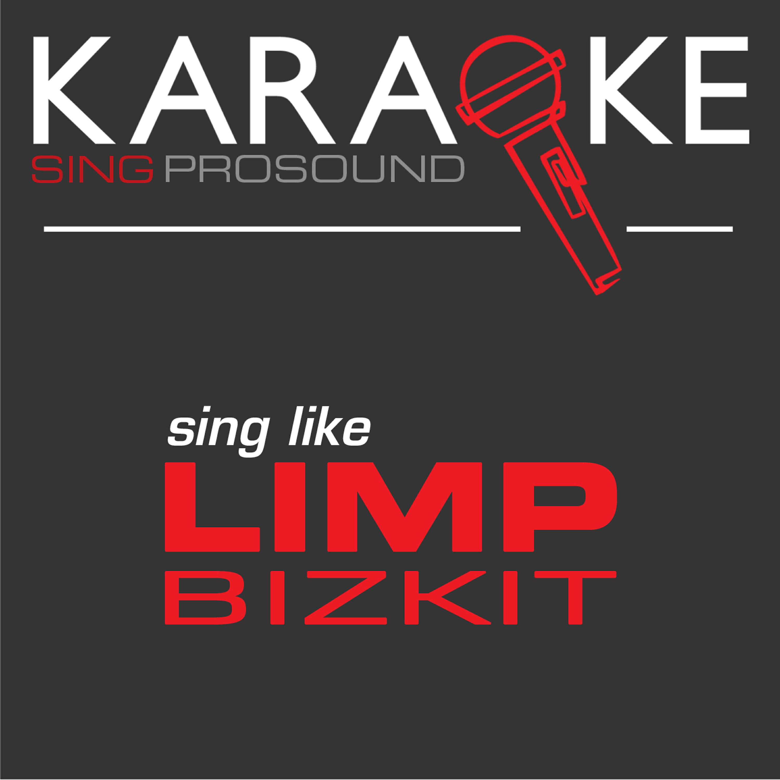 Постер альбома Karaoke in the Style of Limp Bizkit