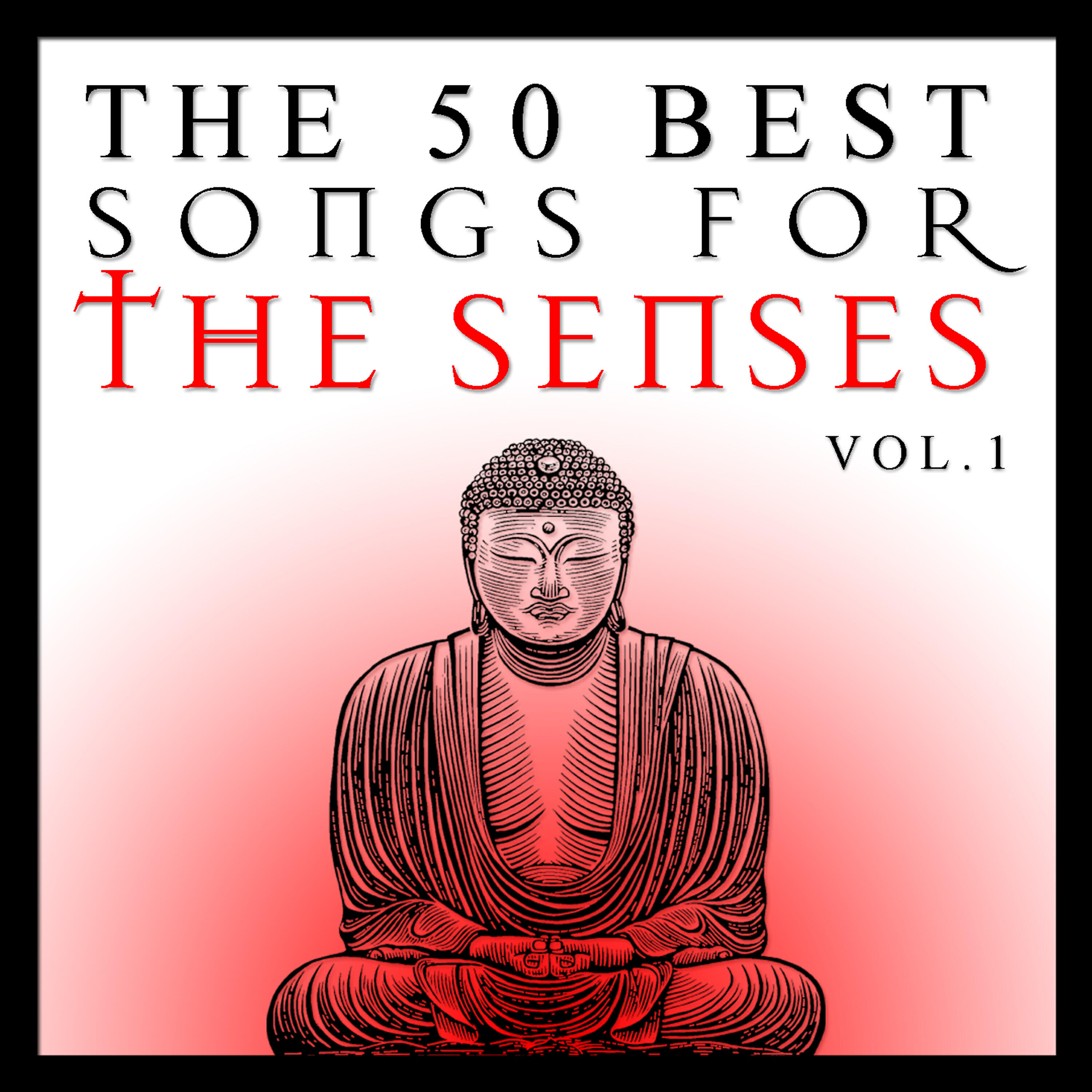Релиз The 50 Best Songs for the Senses Vol.1