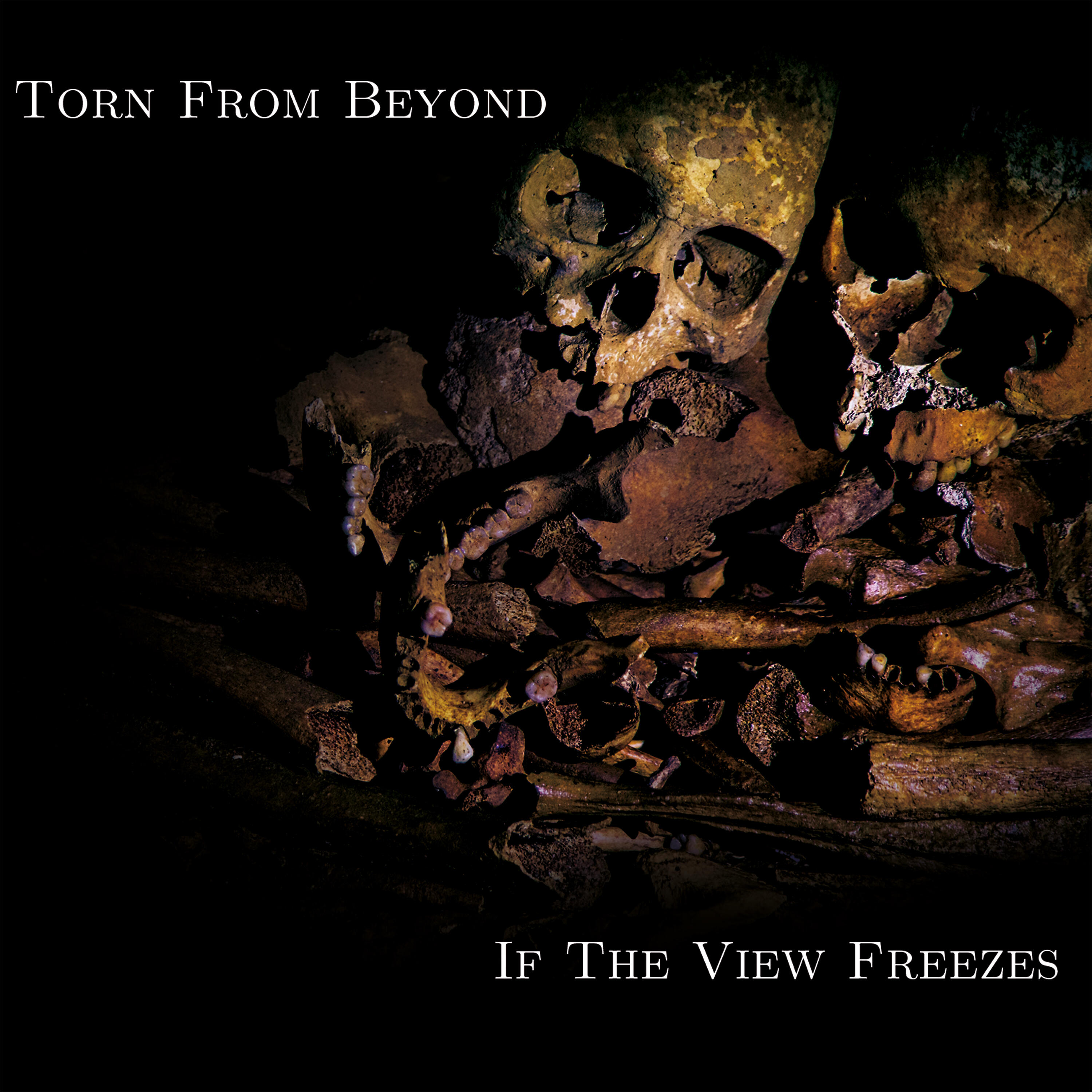 Torn From Beyond