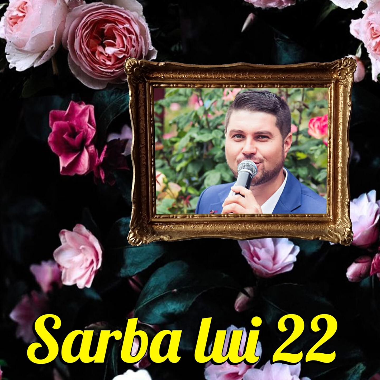 Релиз Sarba Lui 22