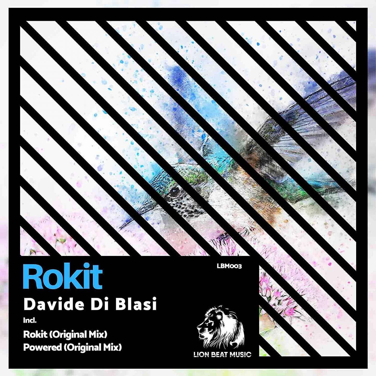 Релиз Rokit
