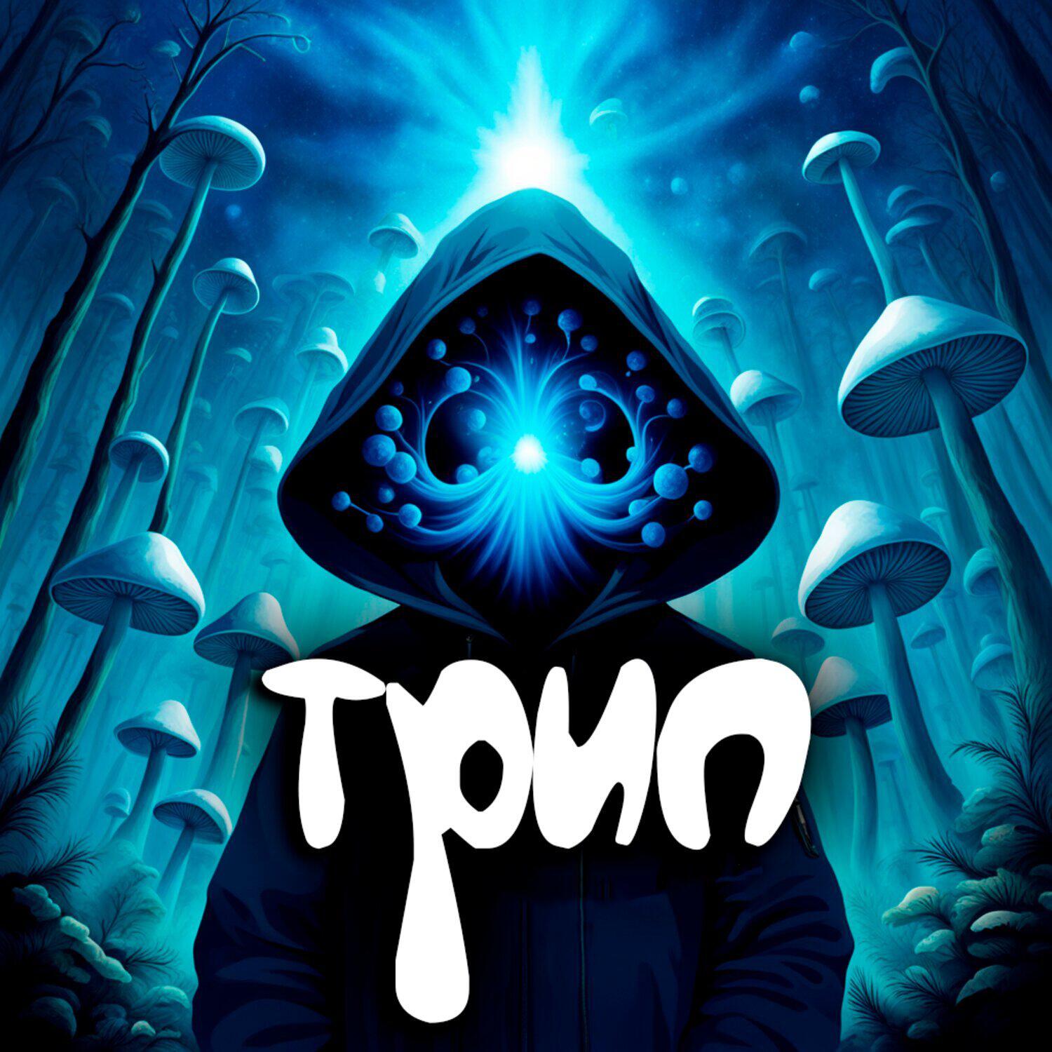 Постер альбома Трип