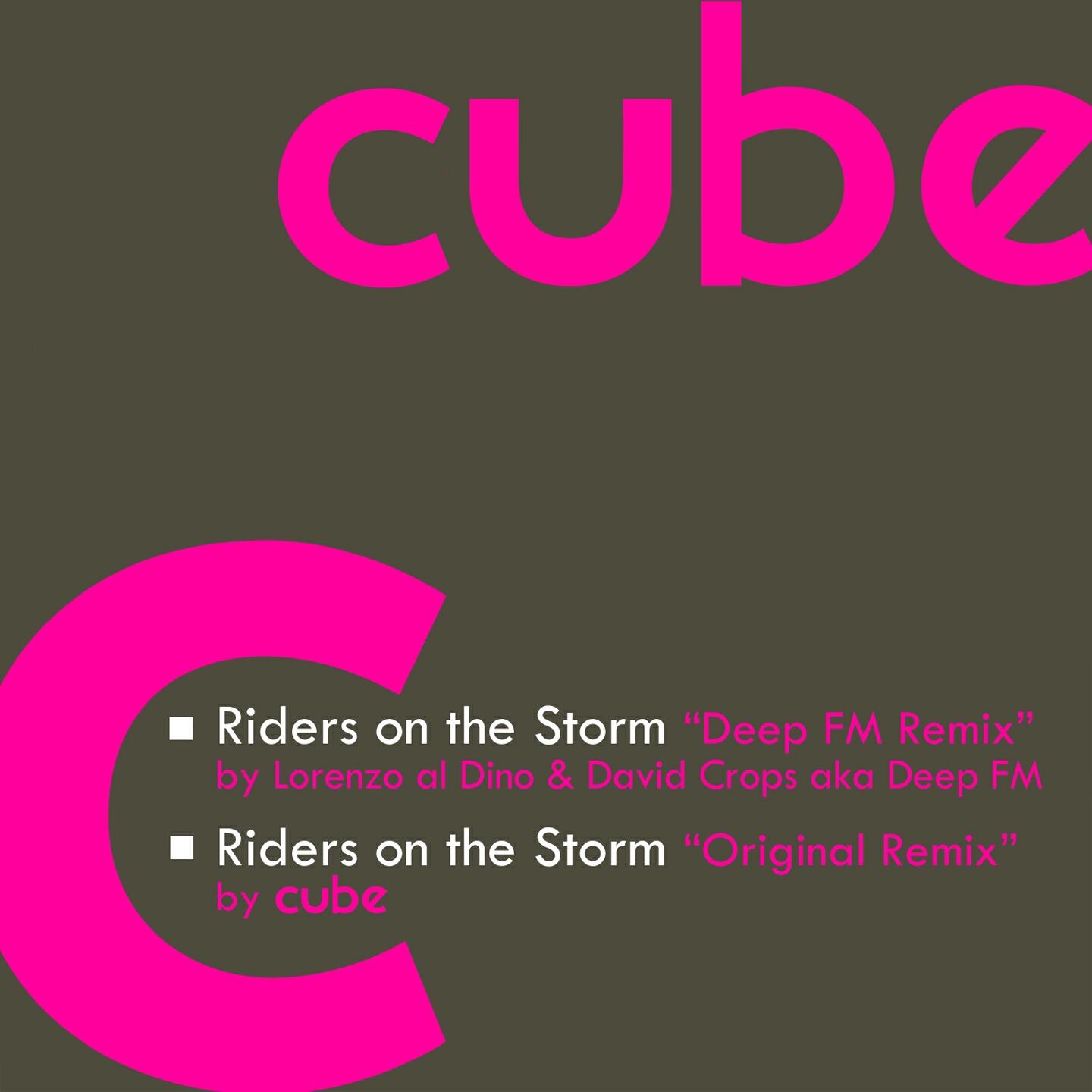 Релиз Riders On the Storm (Remix)