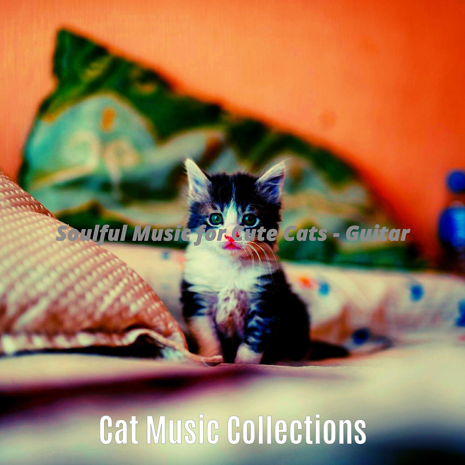 Релиз Soulful Music for Cute Cats - Guitar