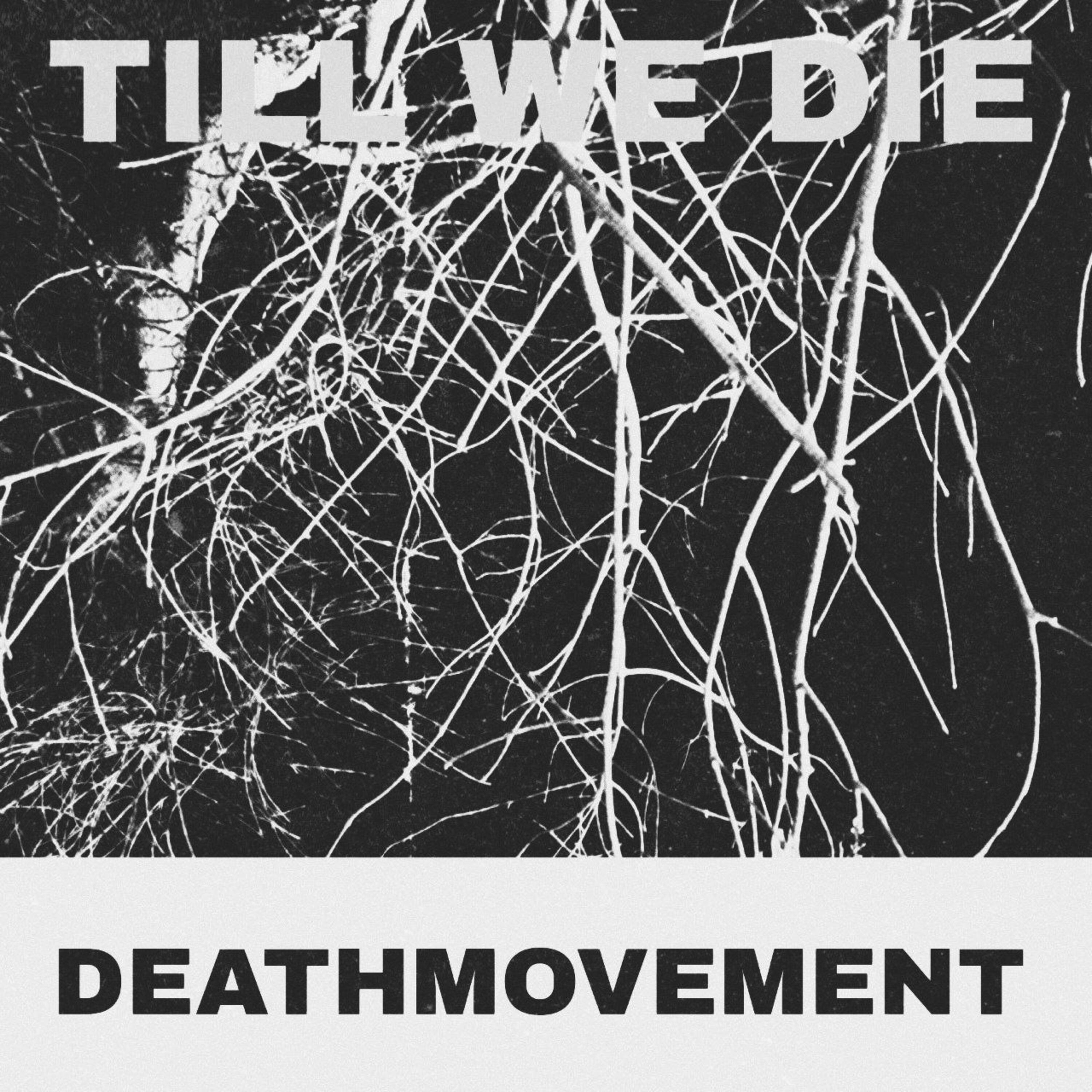 Релиз Till We Die