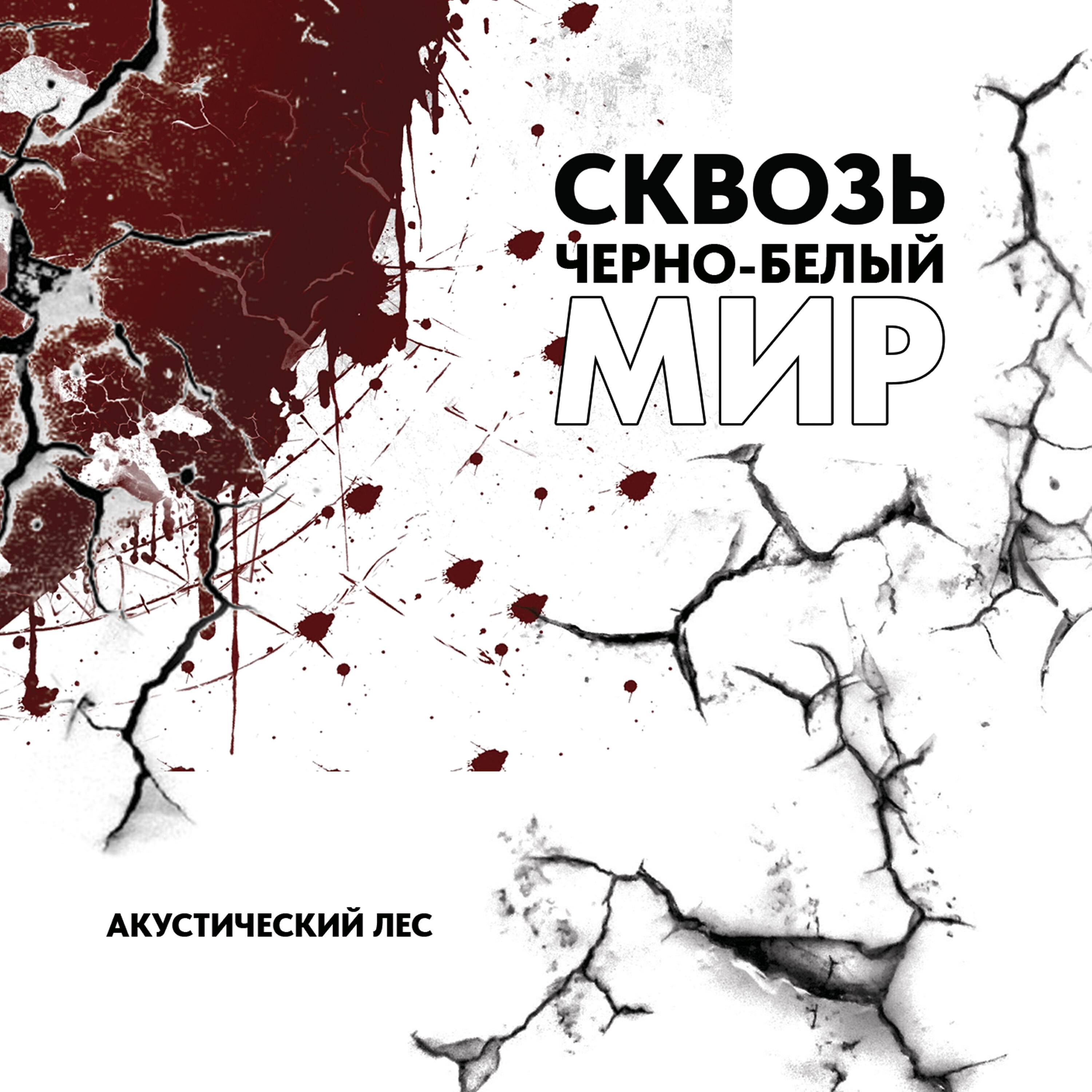 Релиз Сквозь чёрно-белый мир