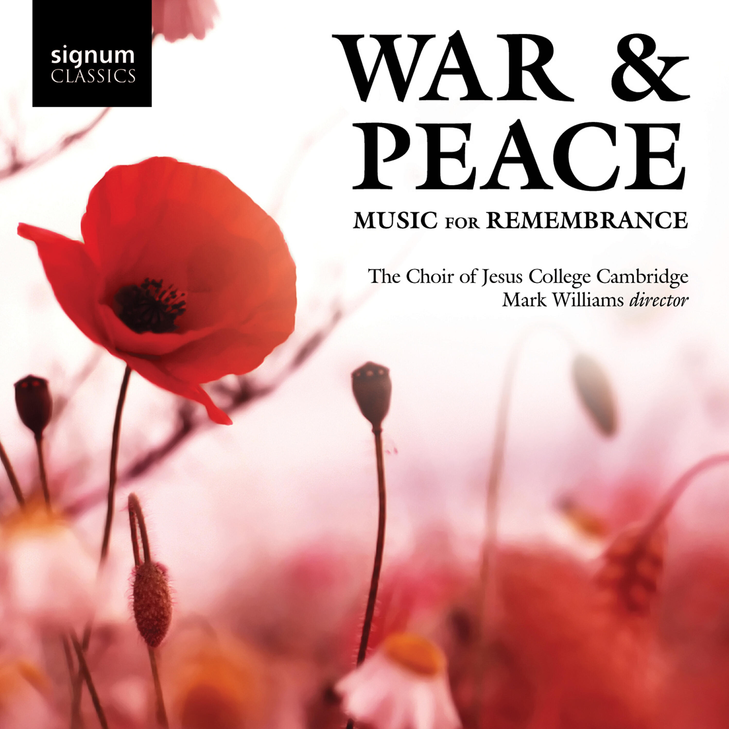 Релиз War & Peace