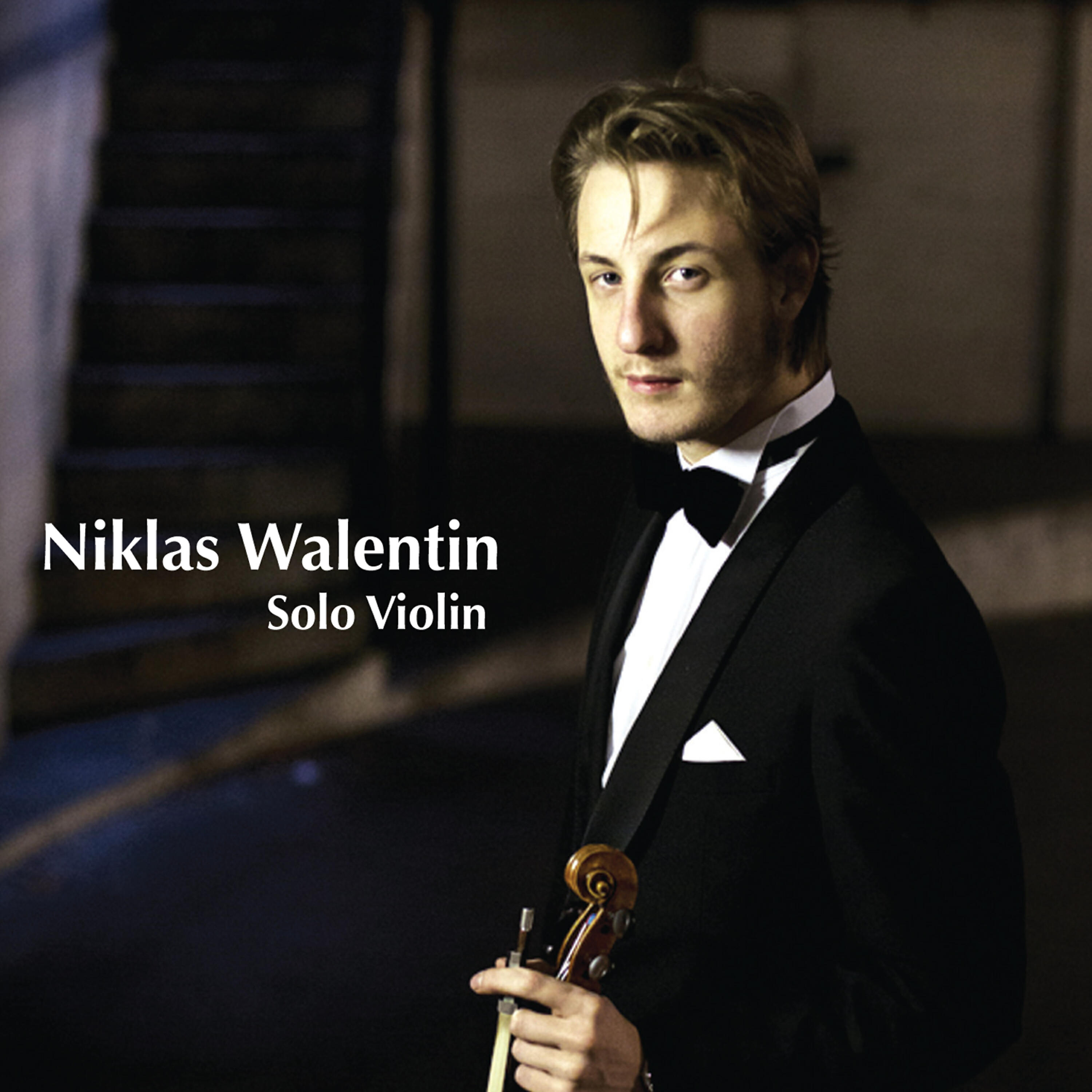 Постер альбома Solo Violin
