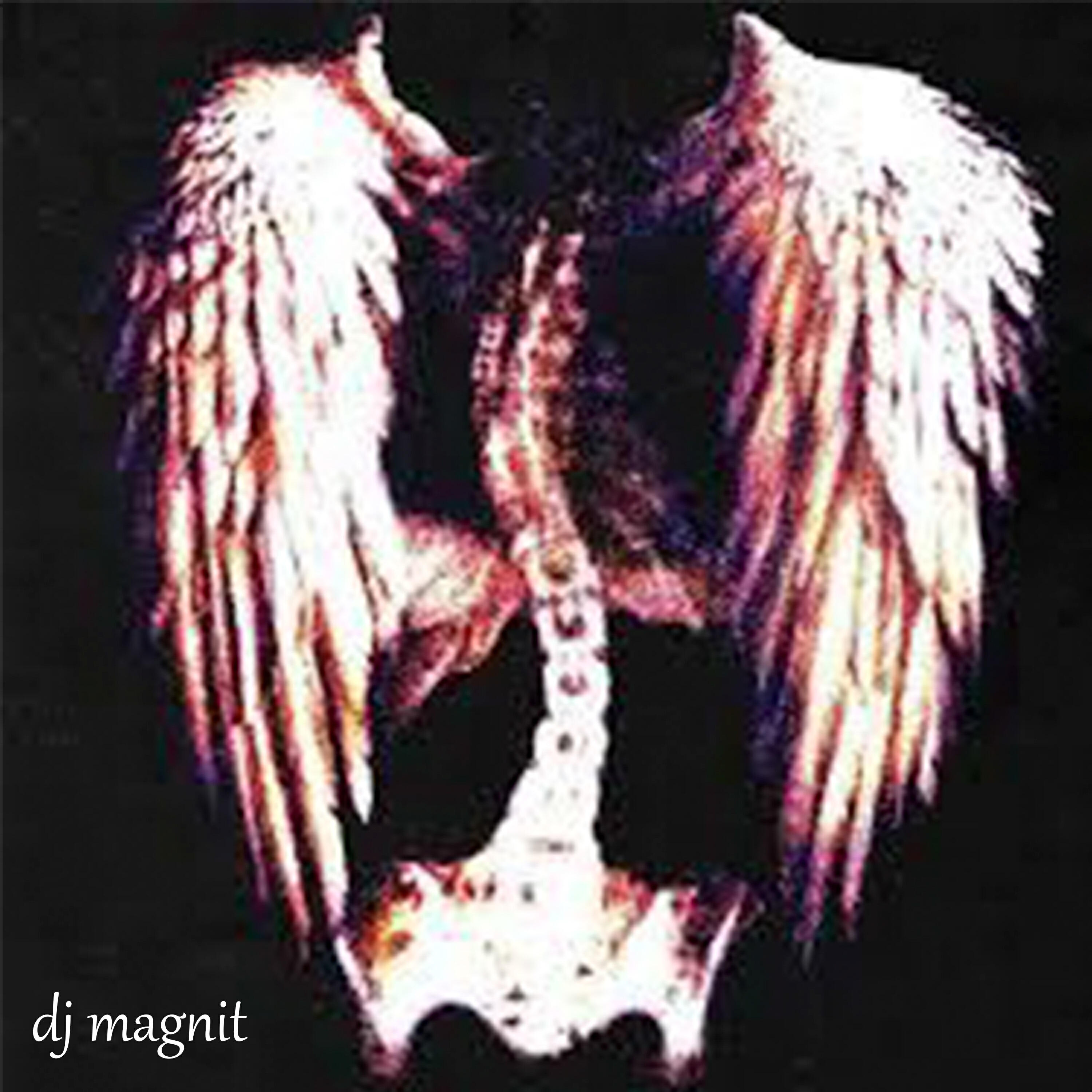 Dj Magnit