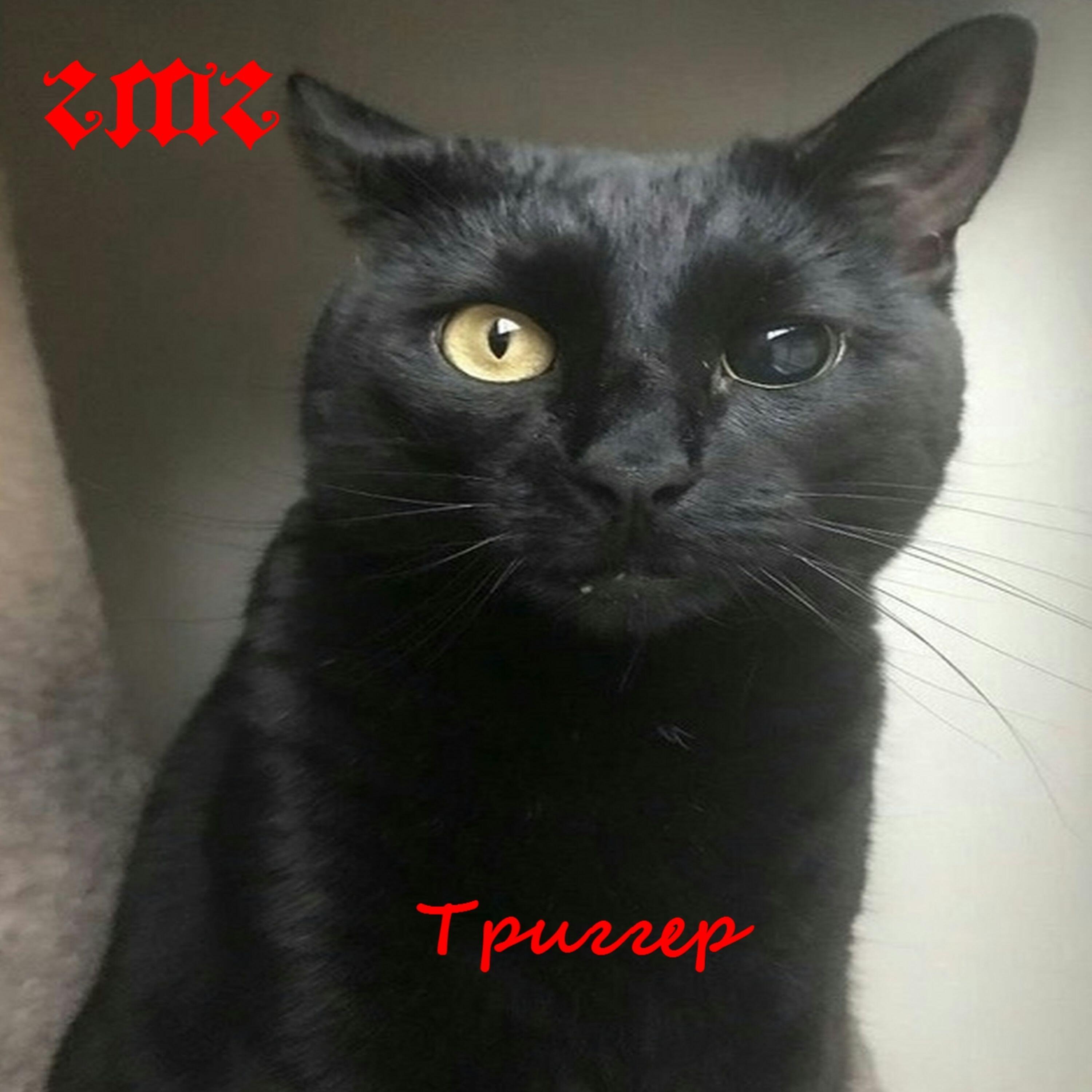 Релиз Триггер