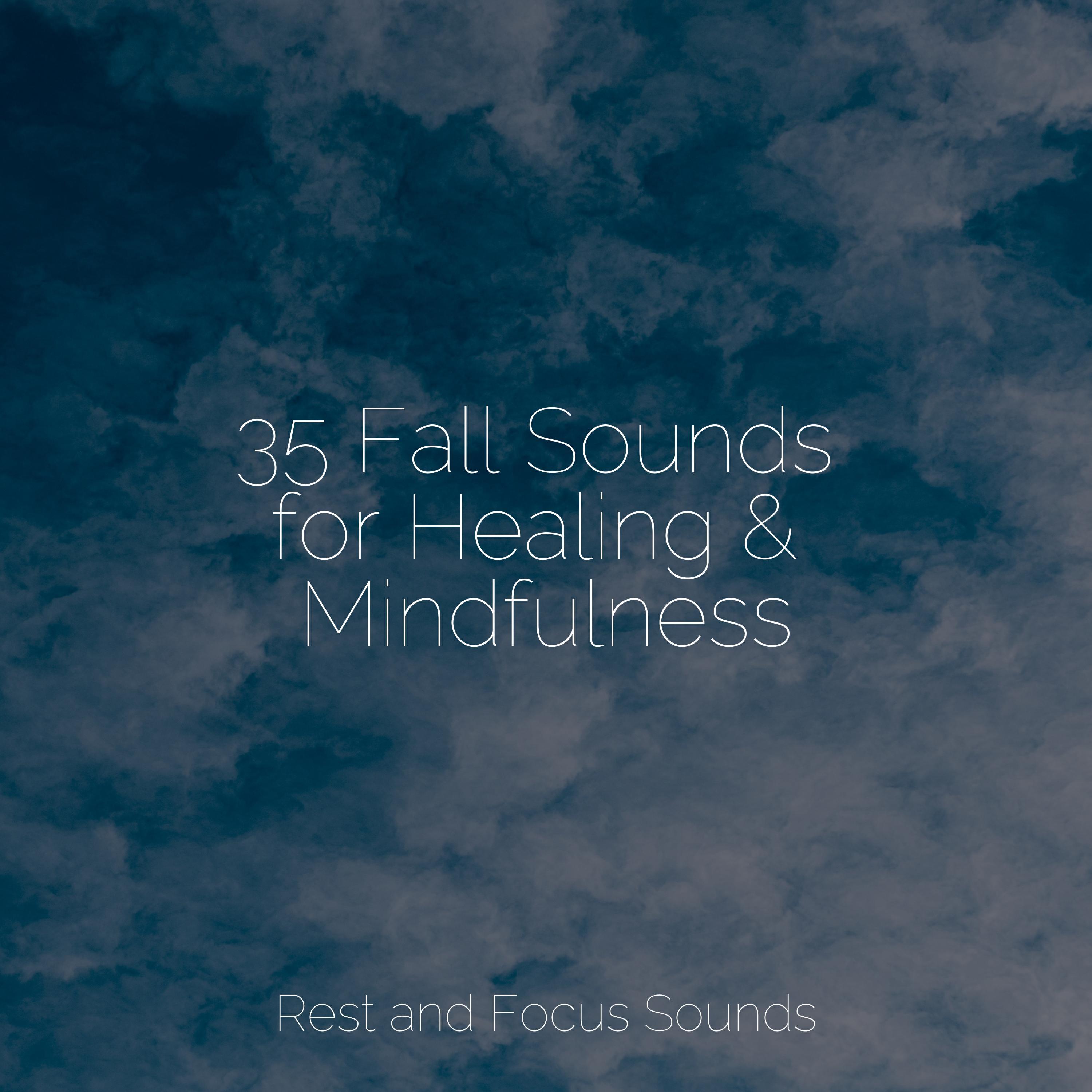 Релиз 35 Fall Sounds for Healing & Mindfulness