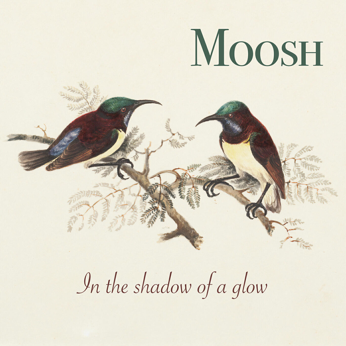 Moosh