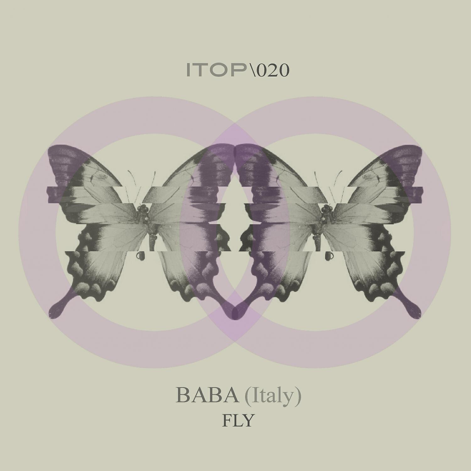Релиз Fly