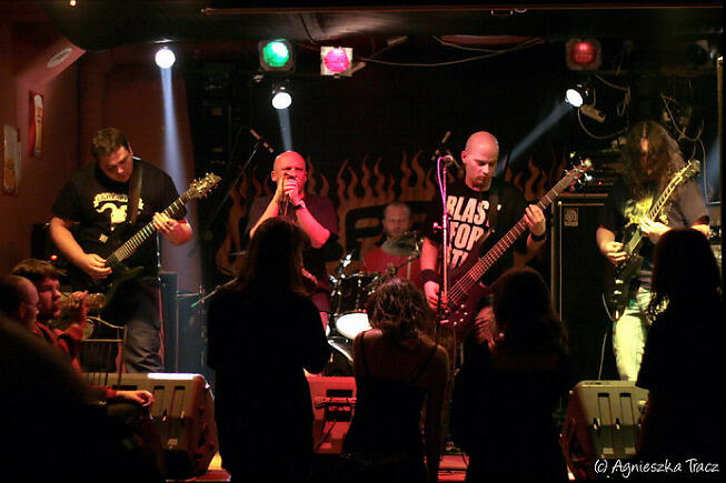 Blacksnake