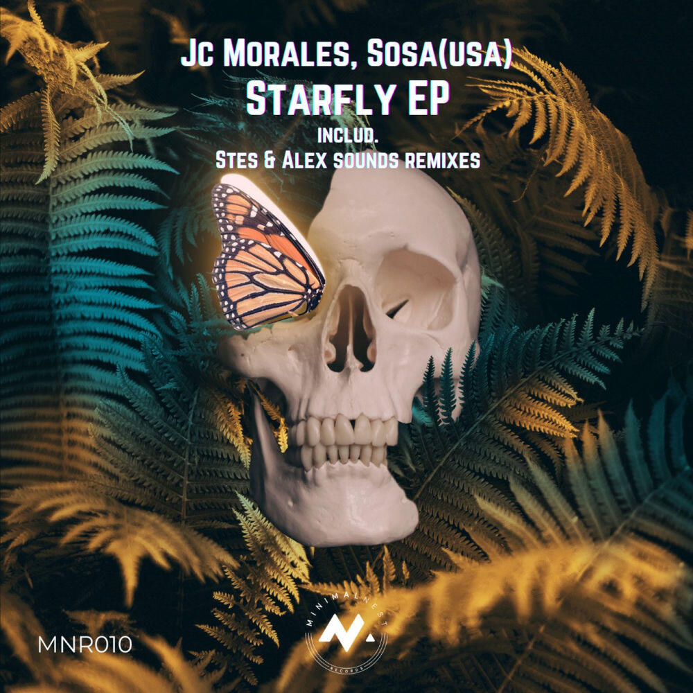 Релиз Starfly EP