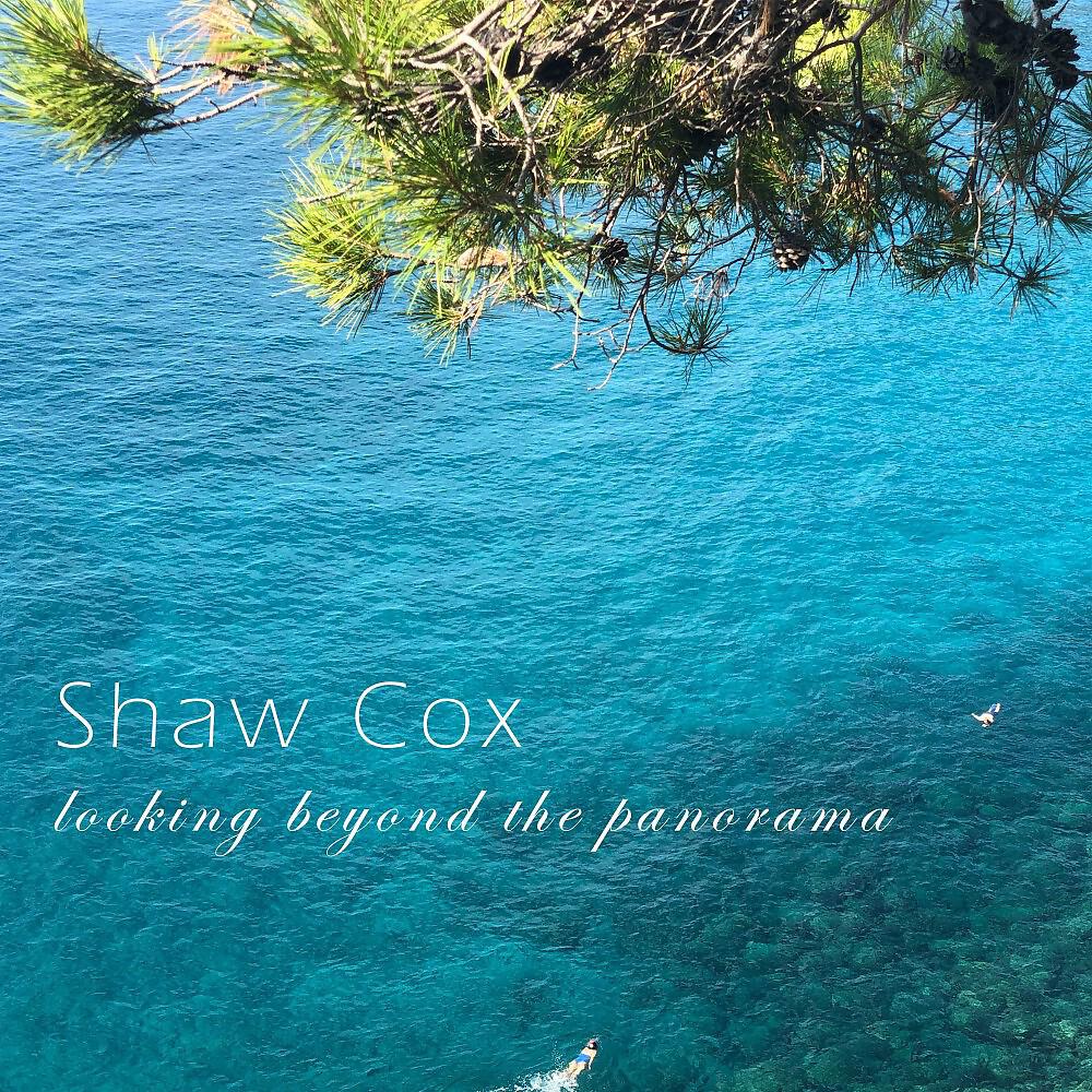 Релиз Looking Beyond the Panorama