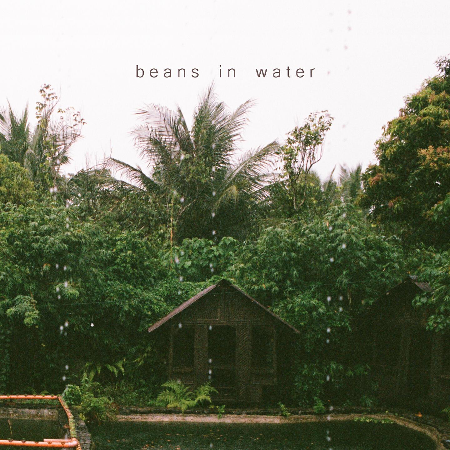 Релиз Beans in Water