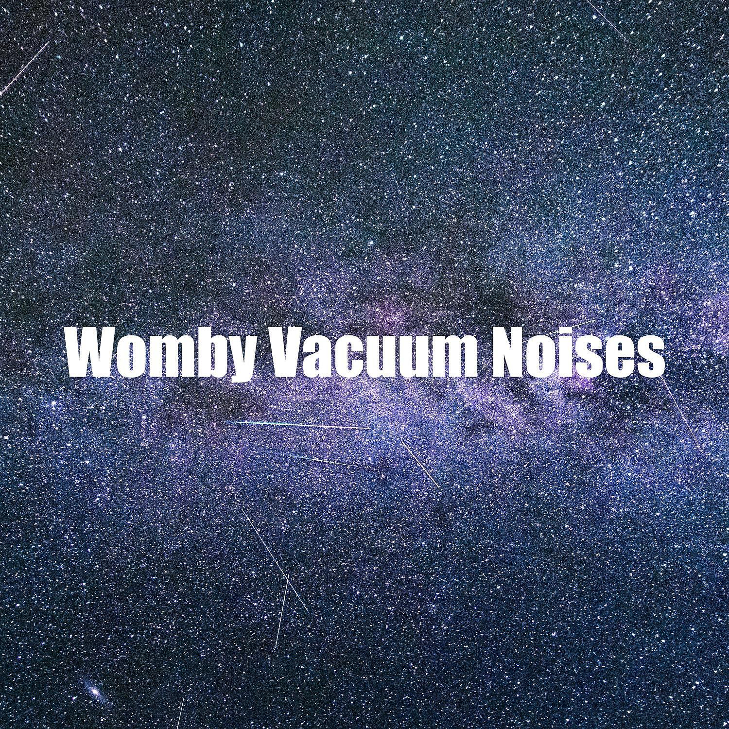 Релиз Womby Vacuum Noises