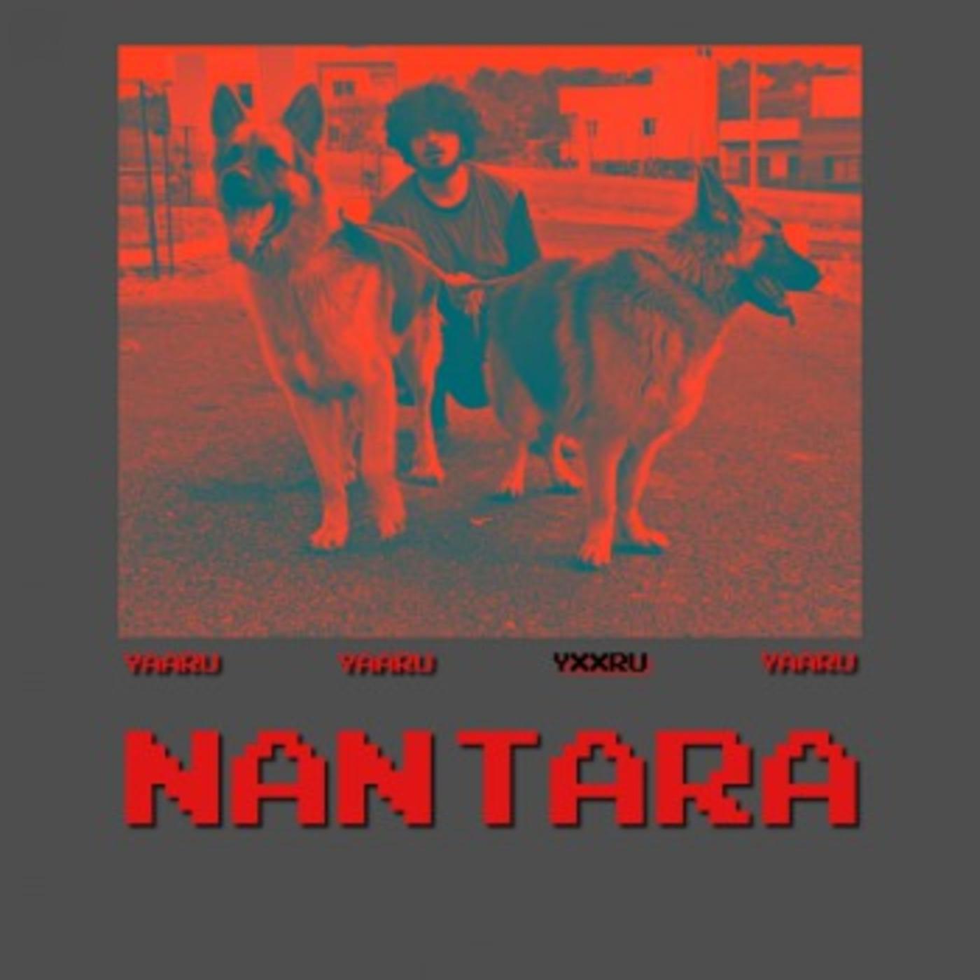 Релиз Nantara
