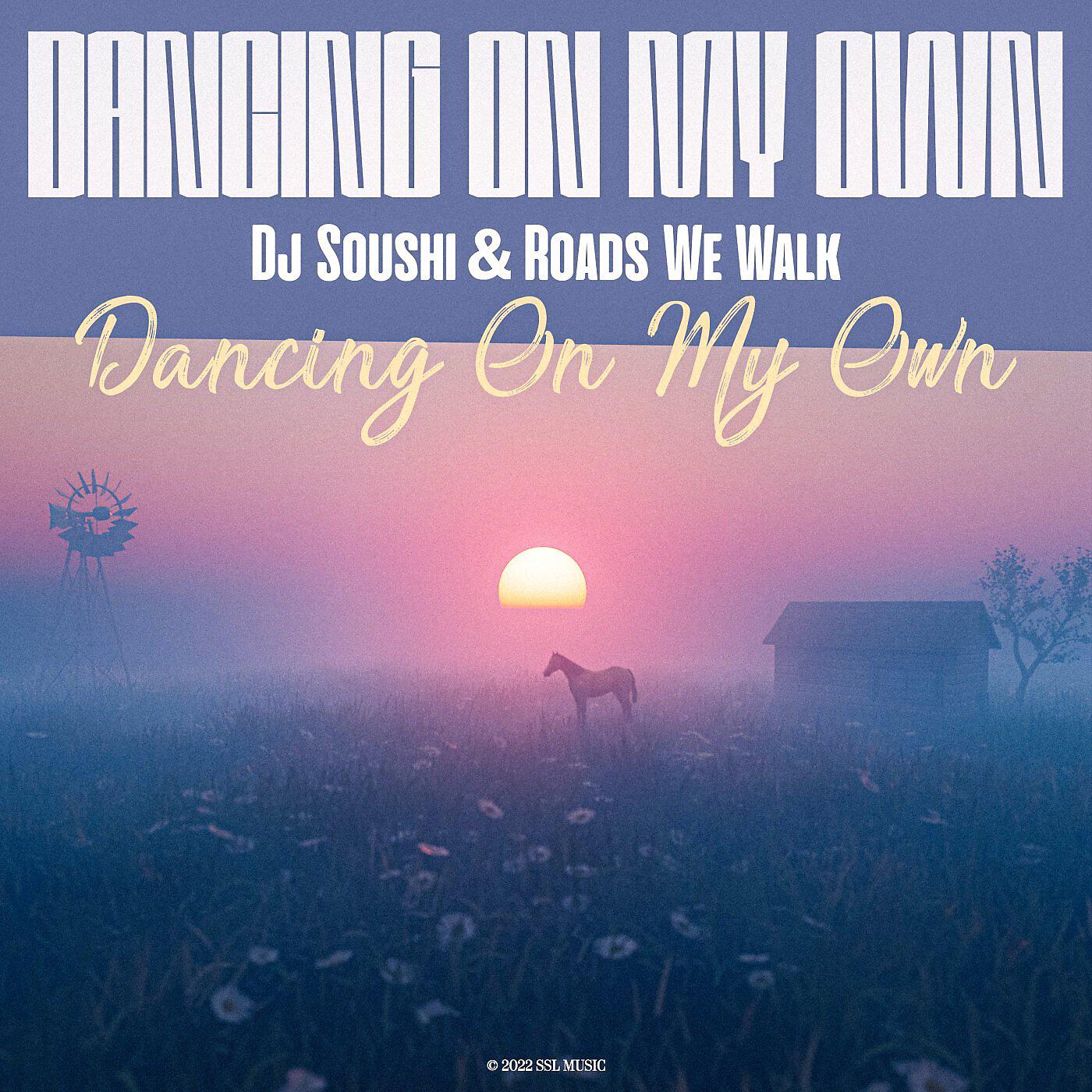 Постер альбома Dancing On My Own
