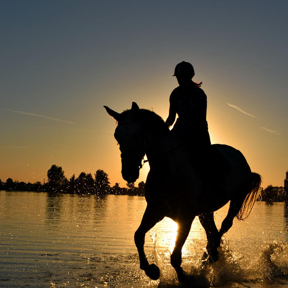 Релиз Rodeo (Remix) (Sped Up)