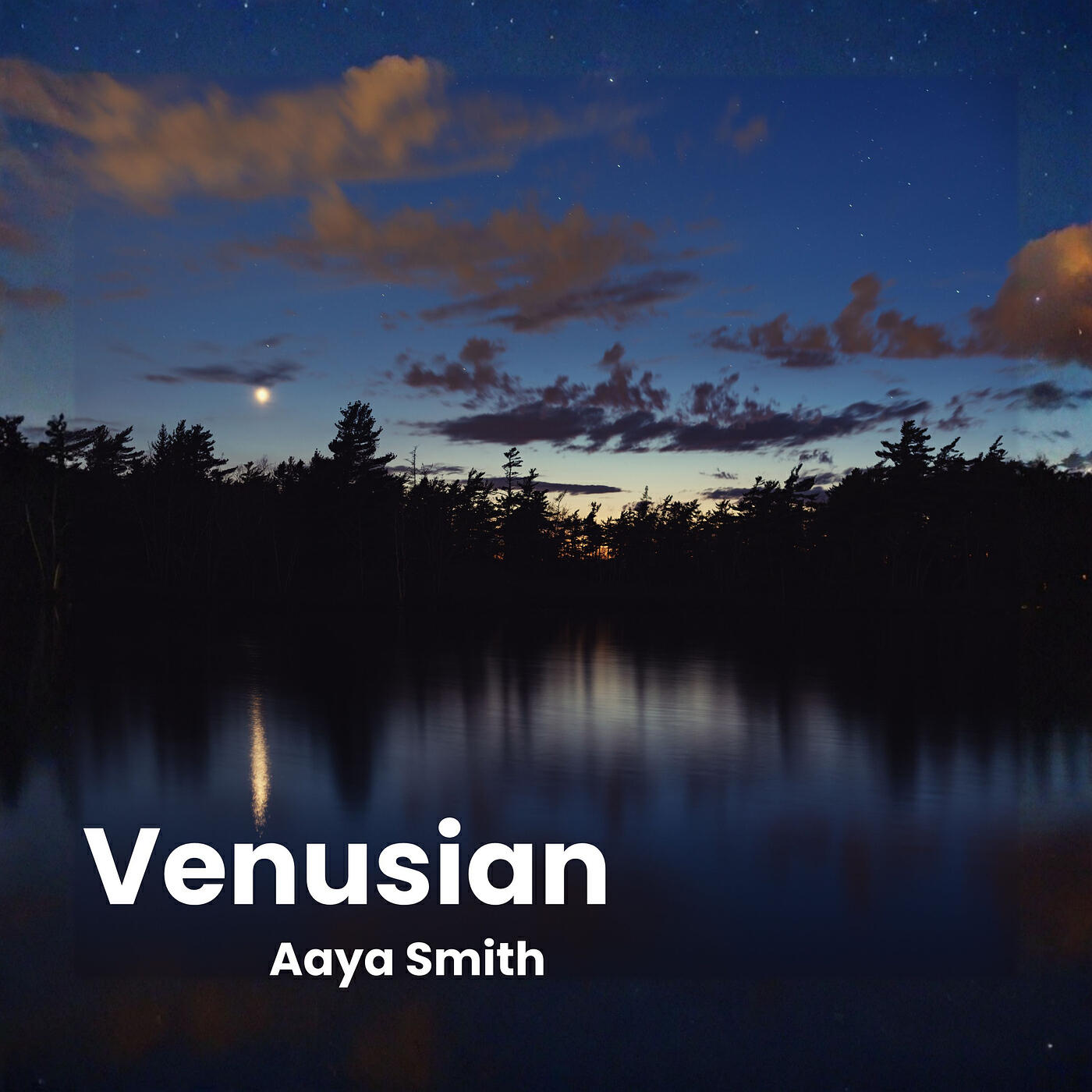 Релиз Venusian