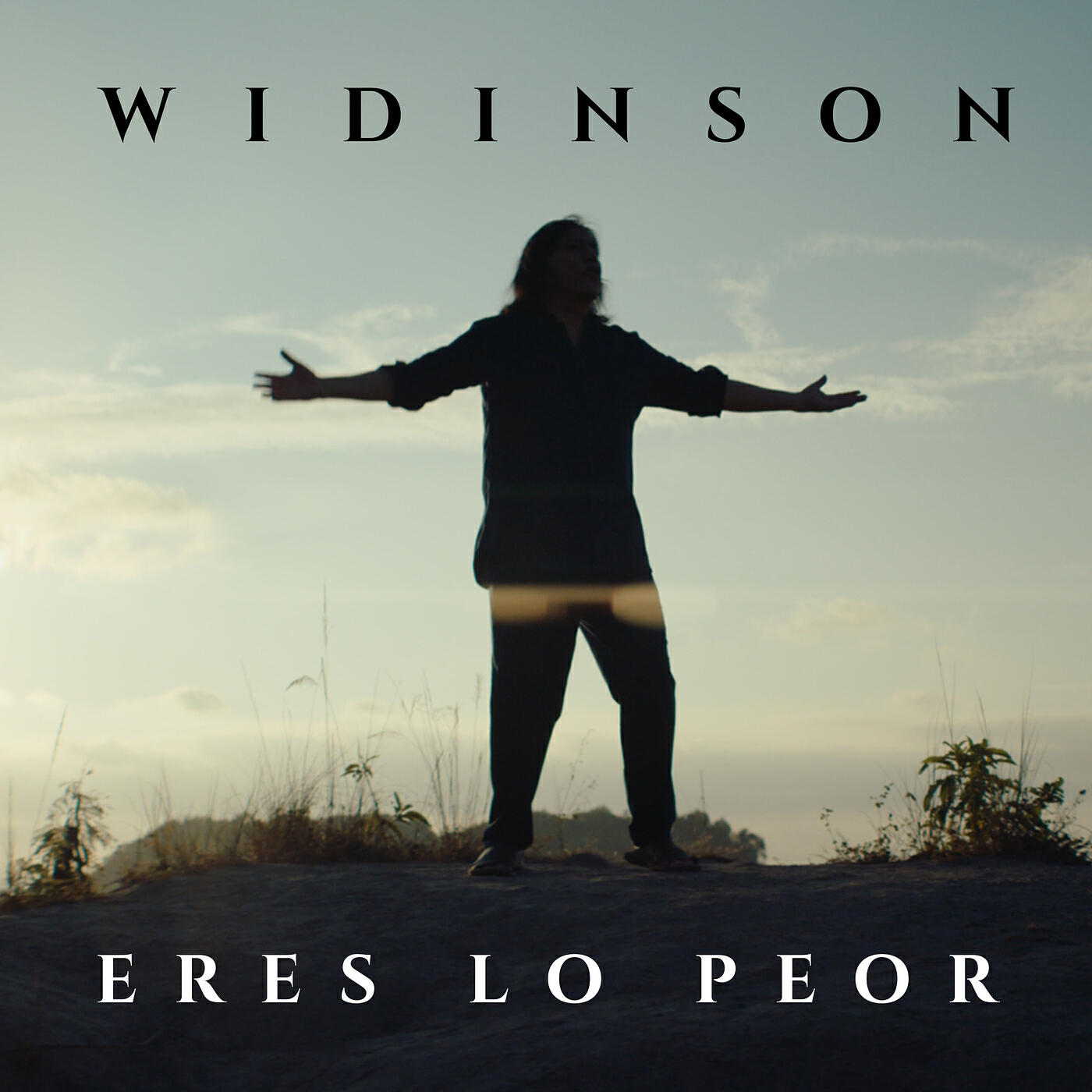 Widinson