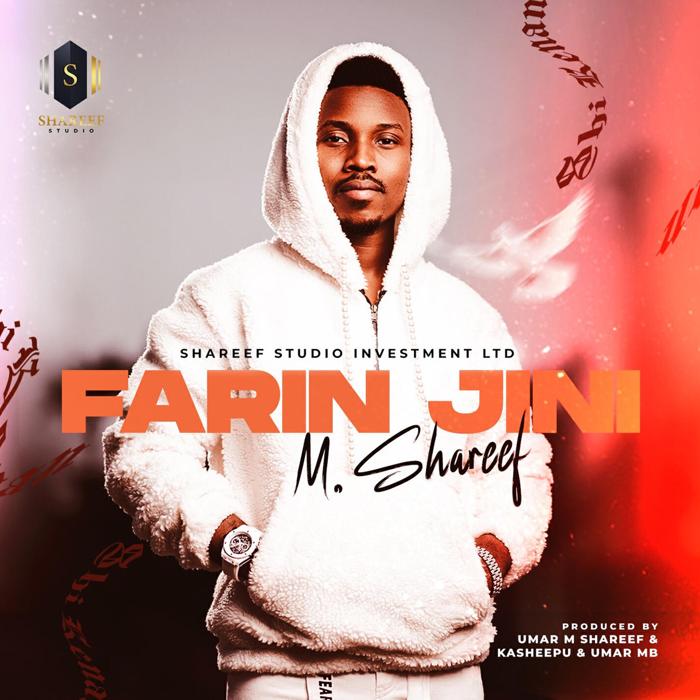 Релиз Farin Jini