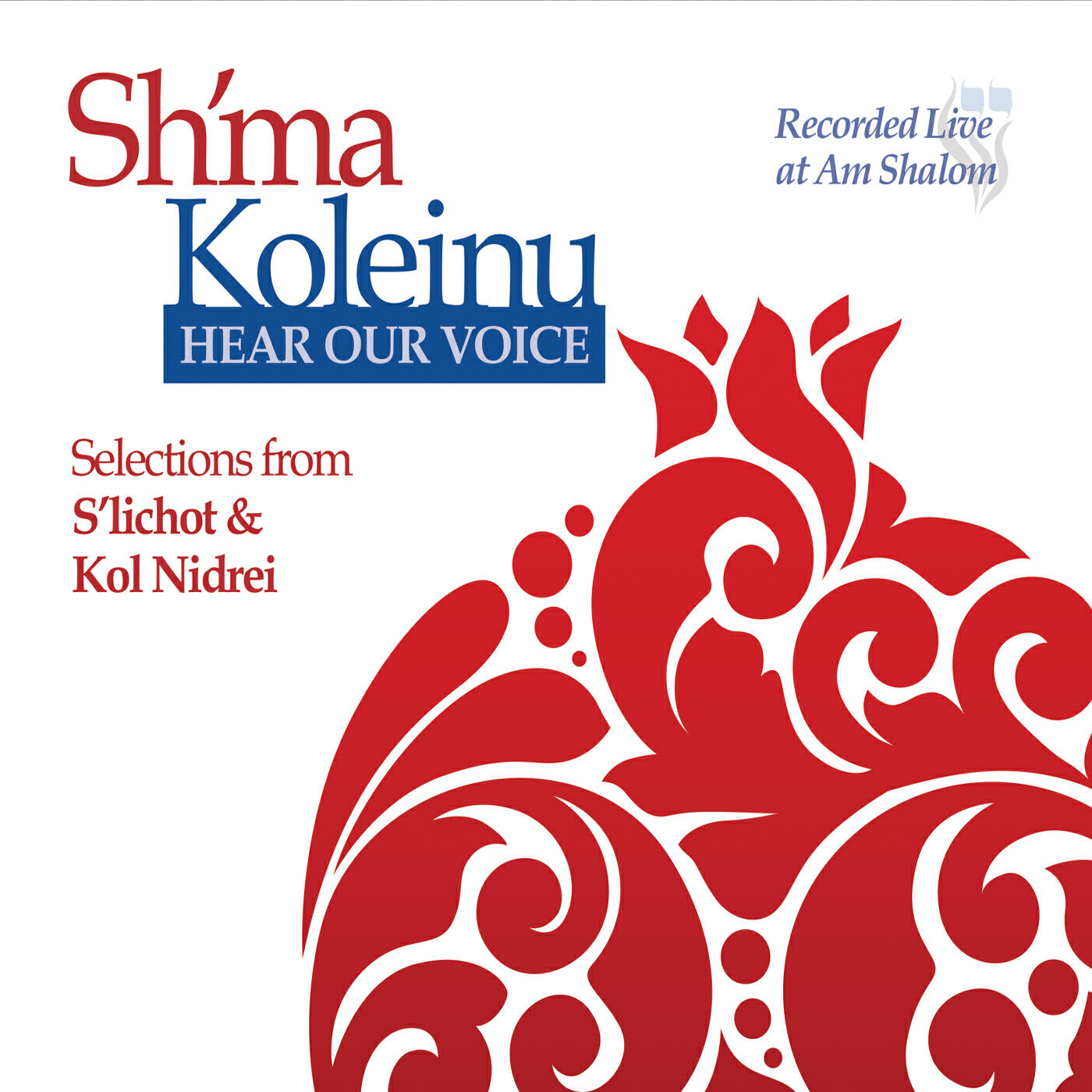 Music at Am Shalom