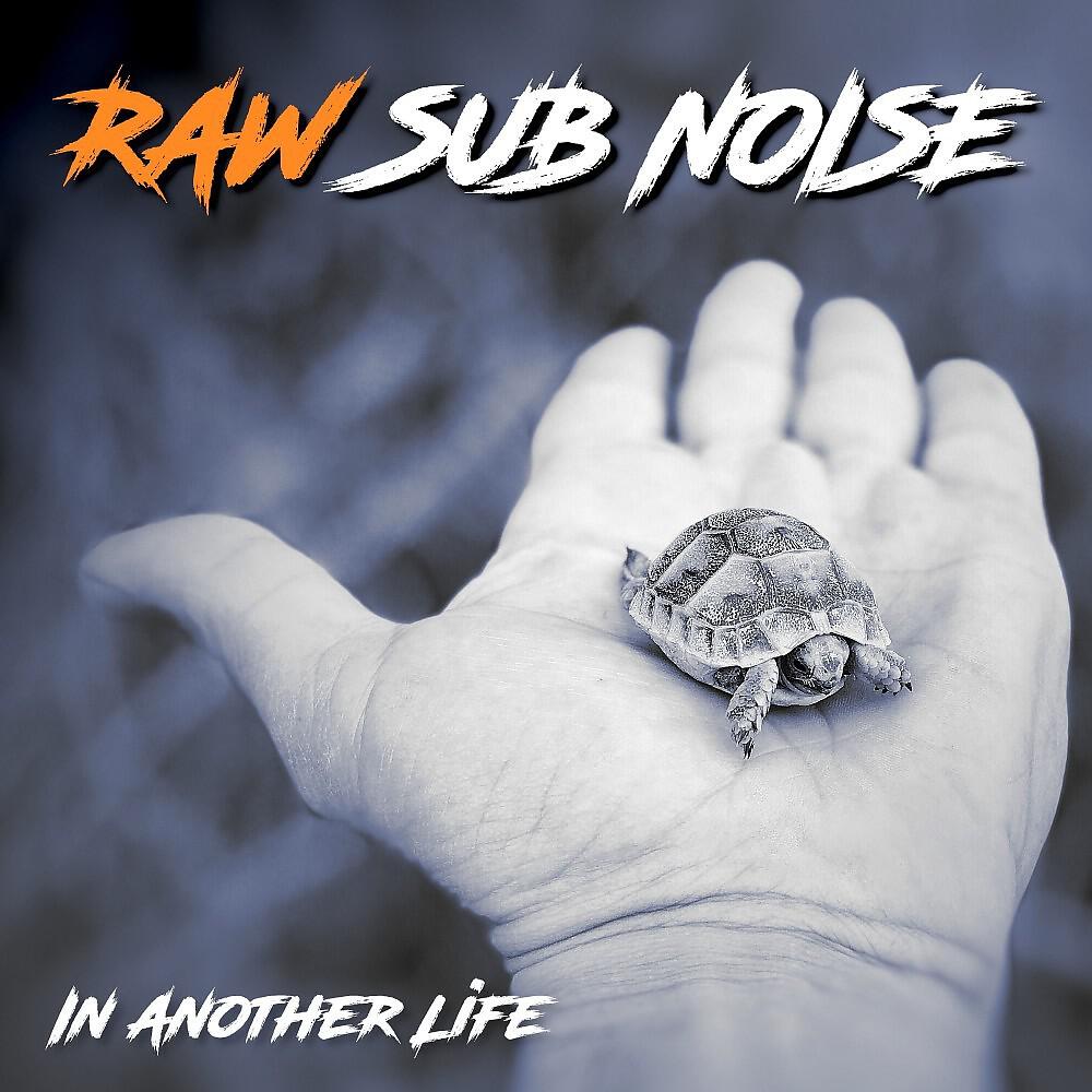 Релиз In Another Life