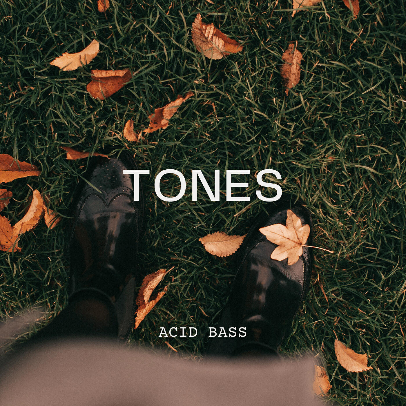 Релиз Tones