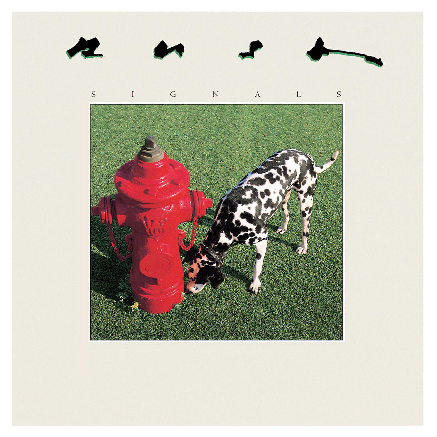 Релиз Signals