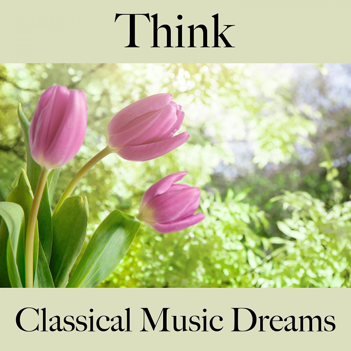 Релиз Think: Classical Music Dreams - The Best Music For Relaxation