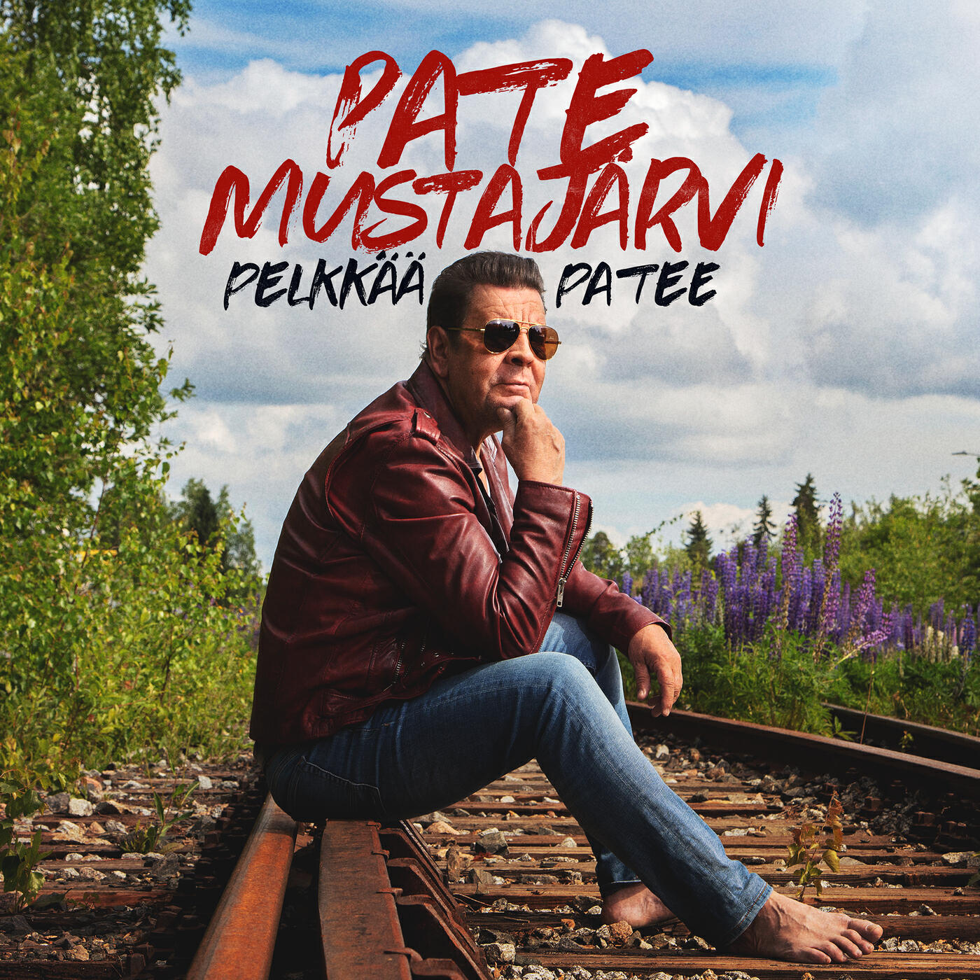 Релиз Pelkkää Patee