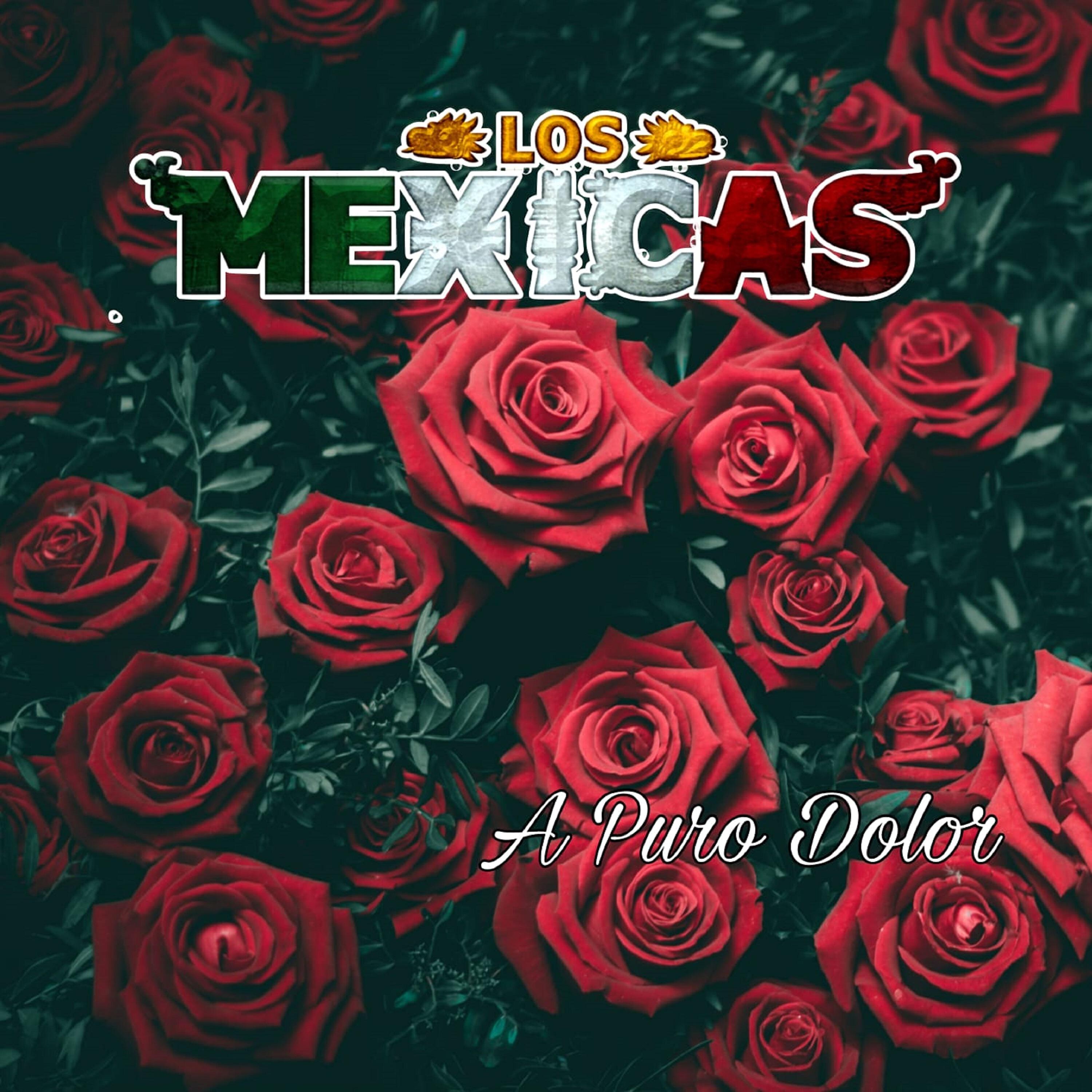 Релиз A Puro Dolor