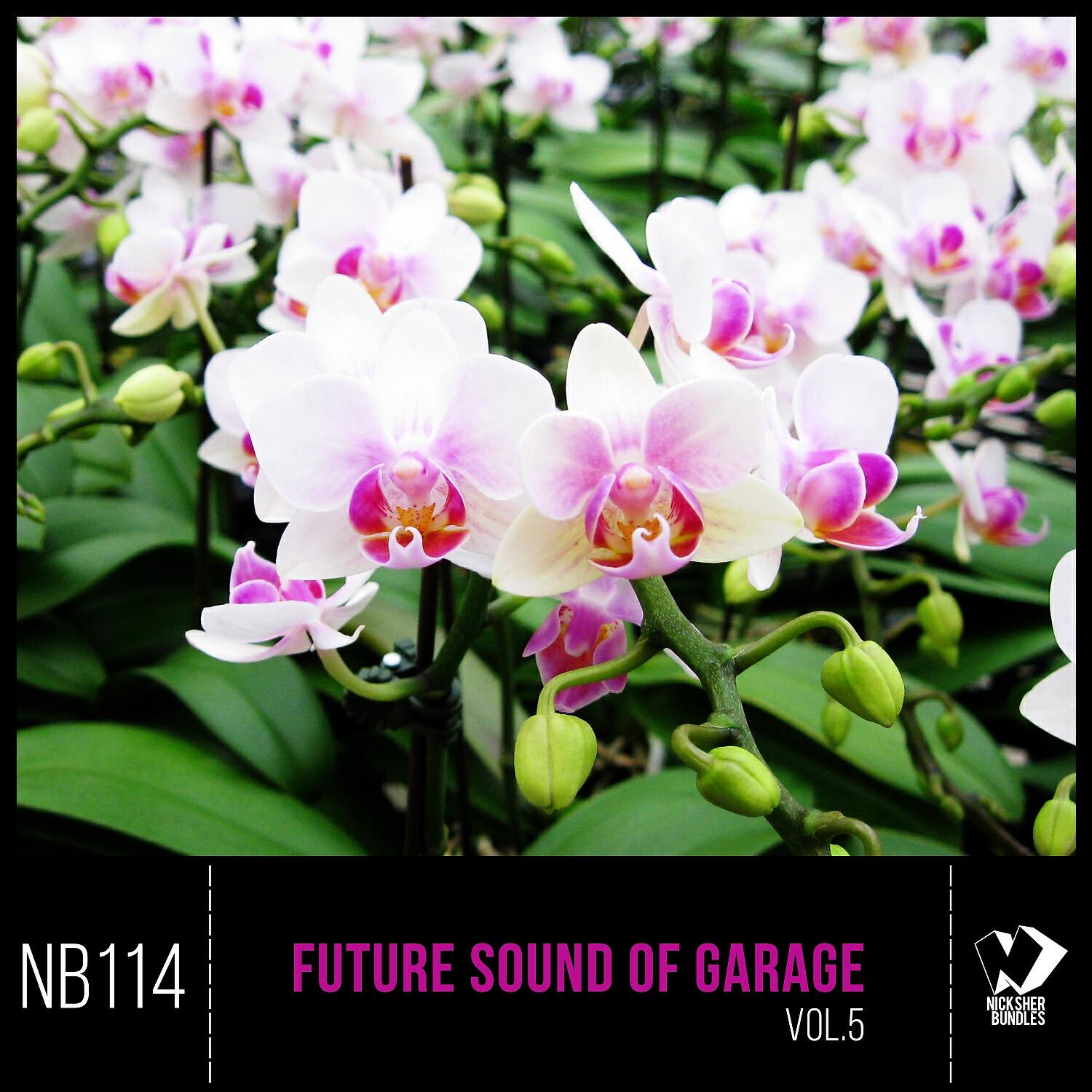 Релиз Future Sound of Garage, Vol. 5