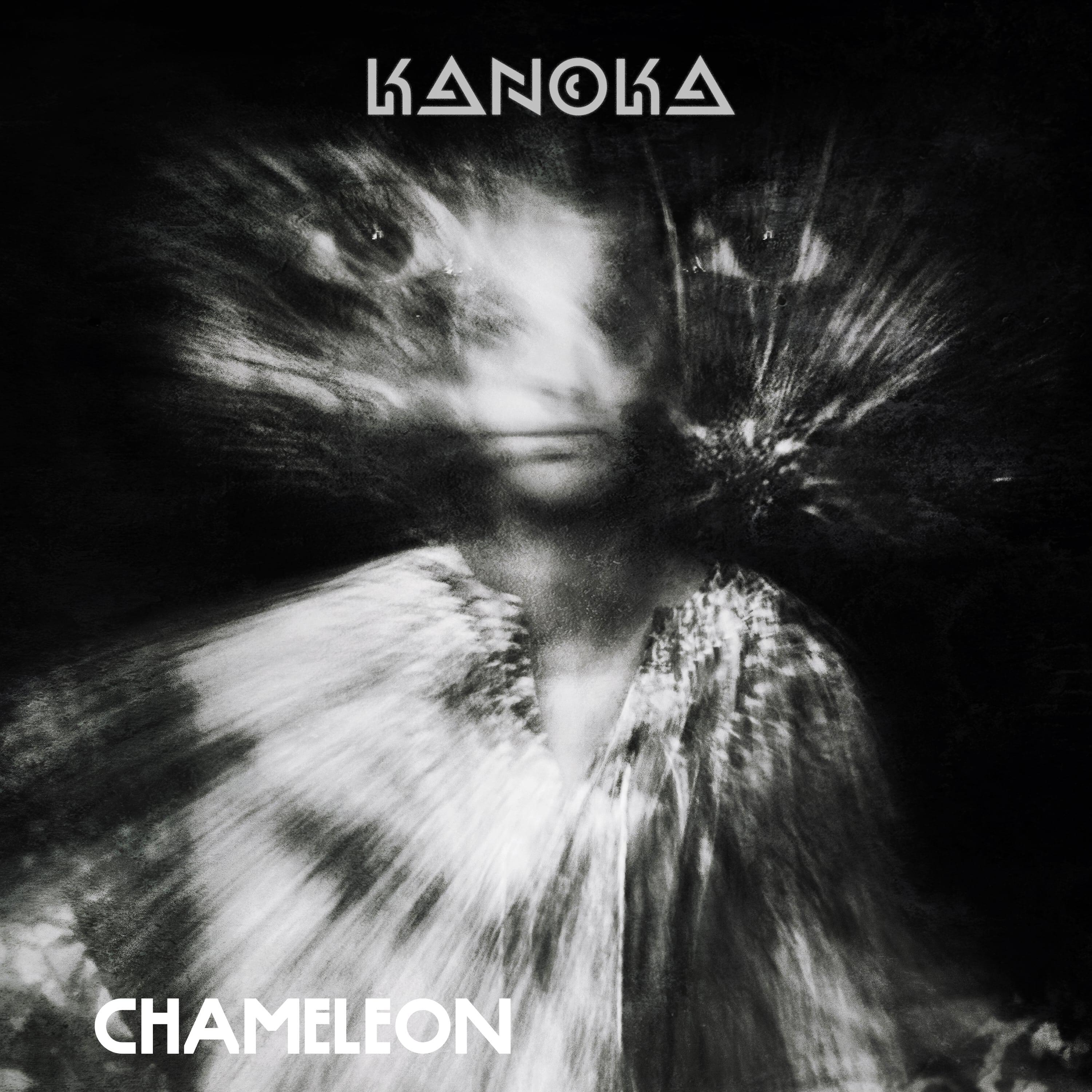 Постер альбома Chameleon
