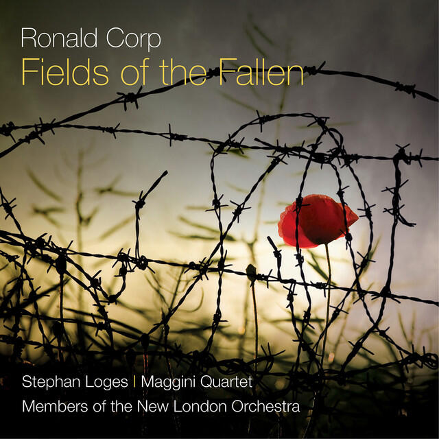 Релиз Corp: Fields of the Fallen & Dawn on the Somme