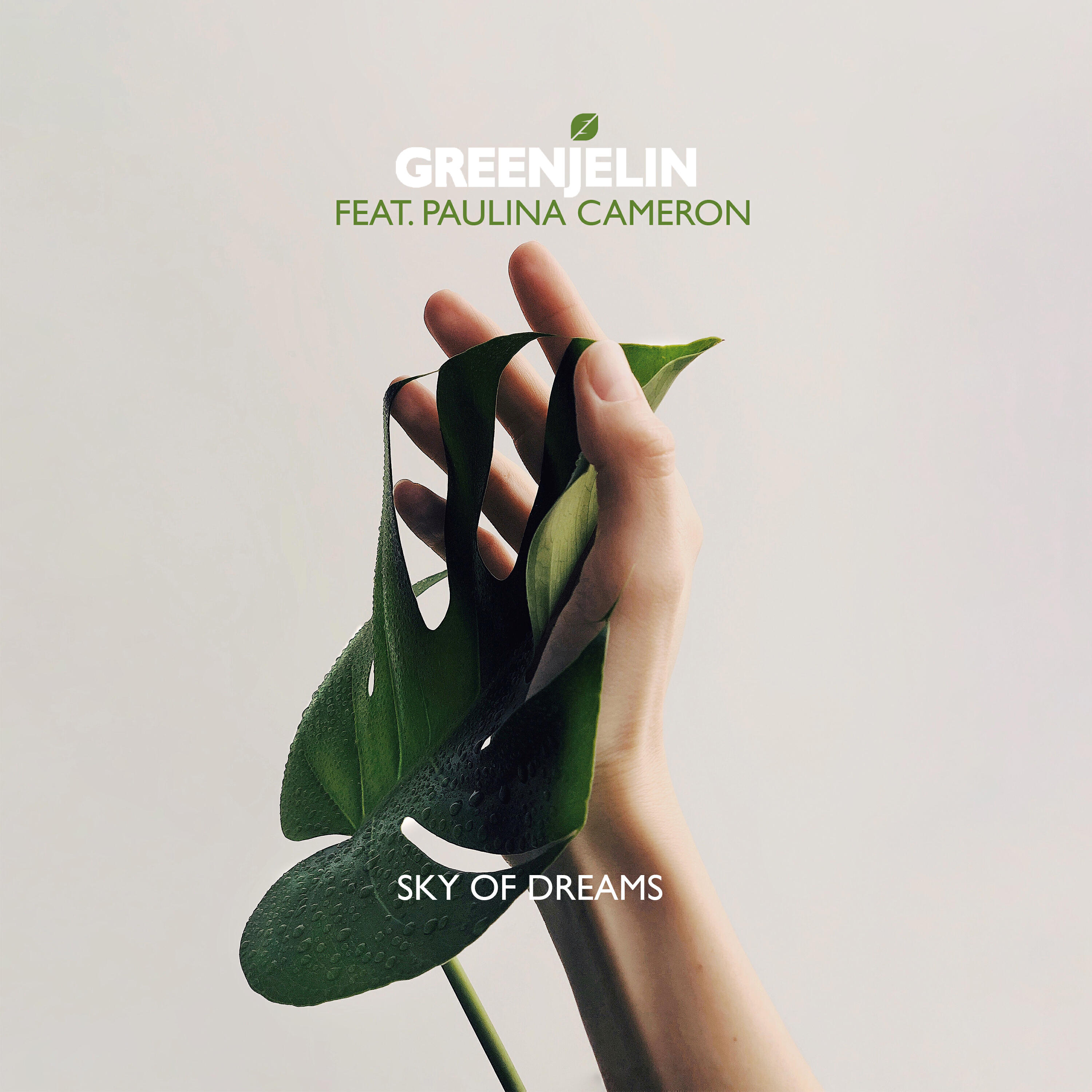 Релиз Sky of Dreams