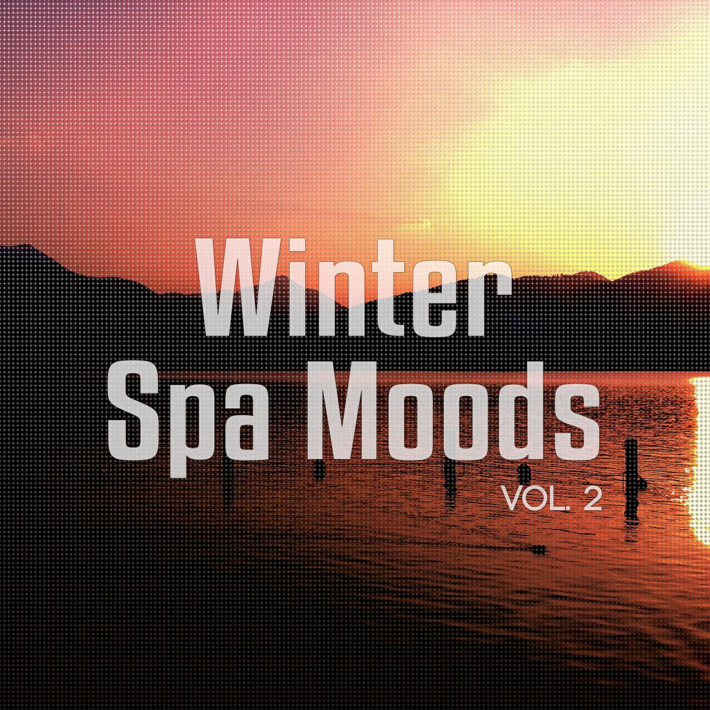 Постер альбома Winter Spa Moods, Vol. 2